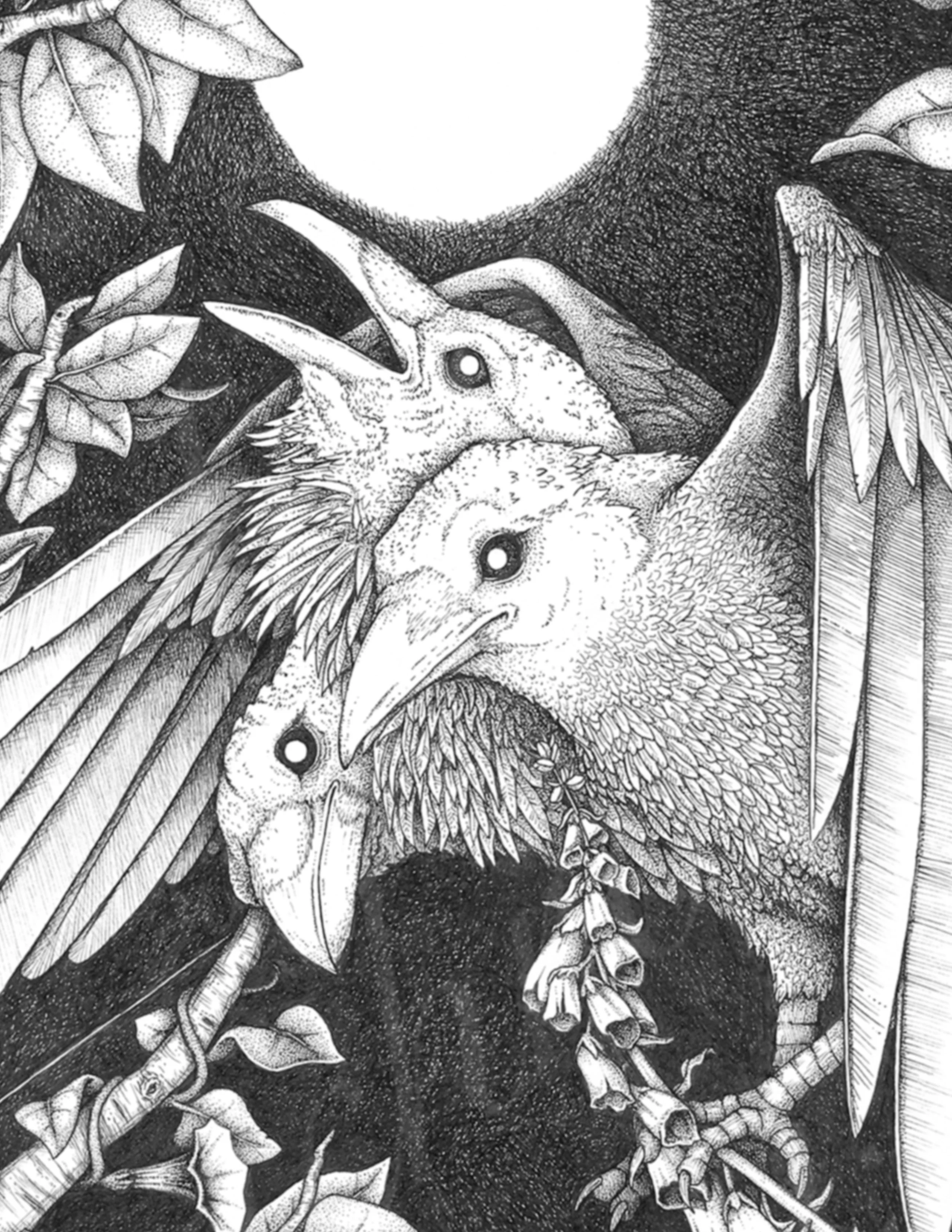 Iamtheravensmoonstreeswatermark zoom in 1.jpg