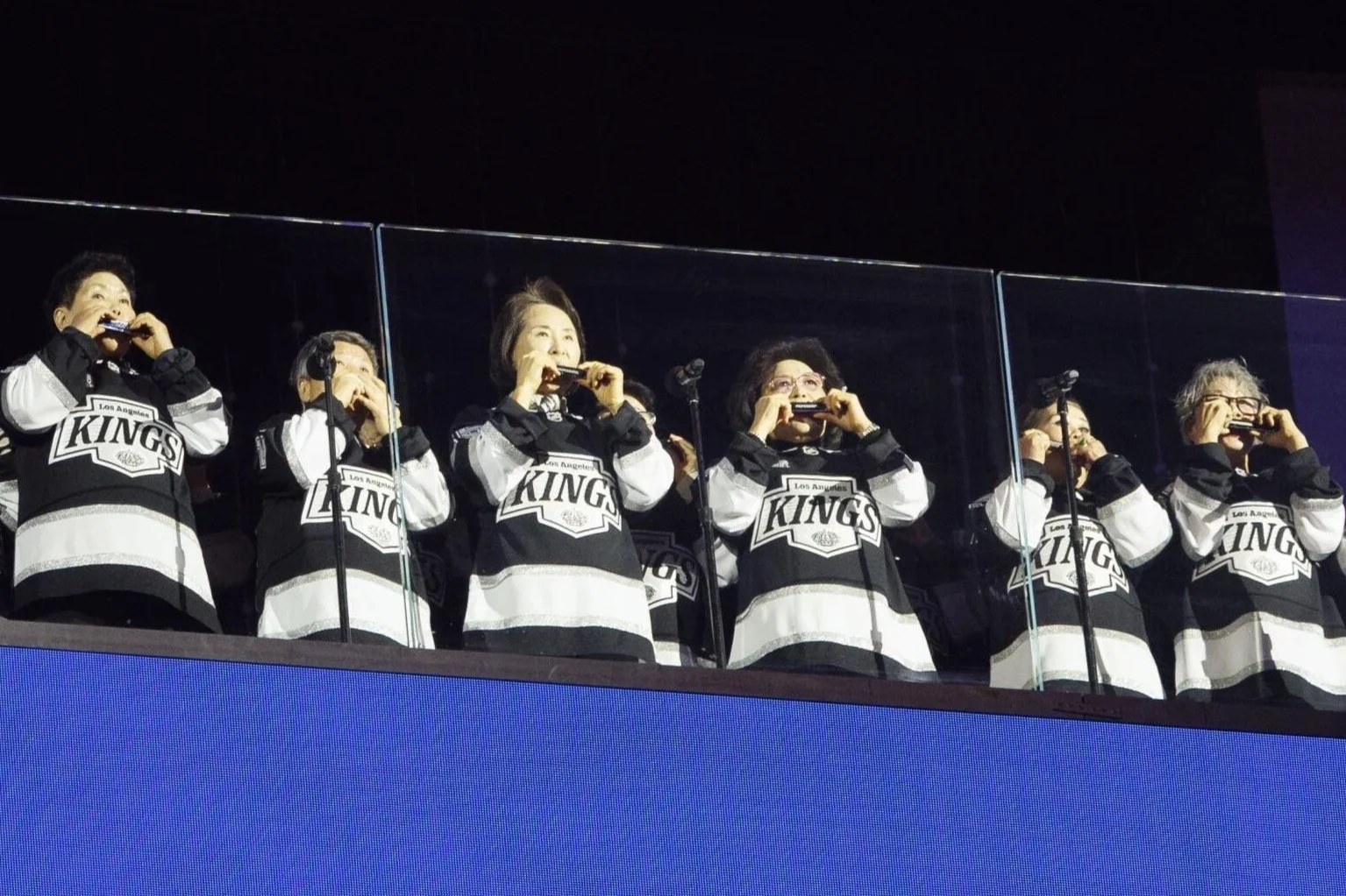 The Big Harmonica Project