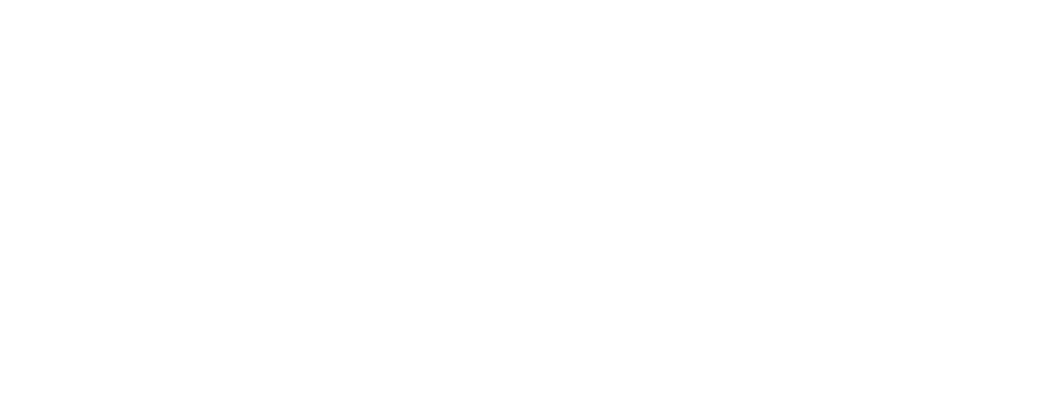 SAWYER Agency