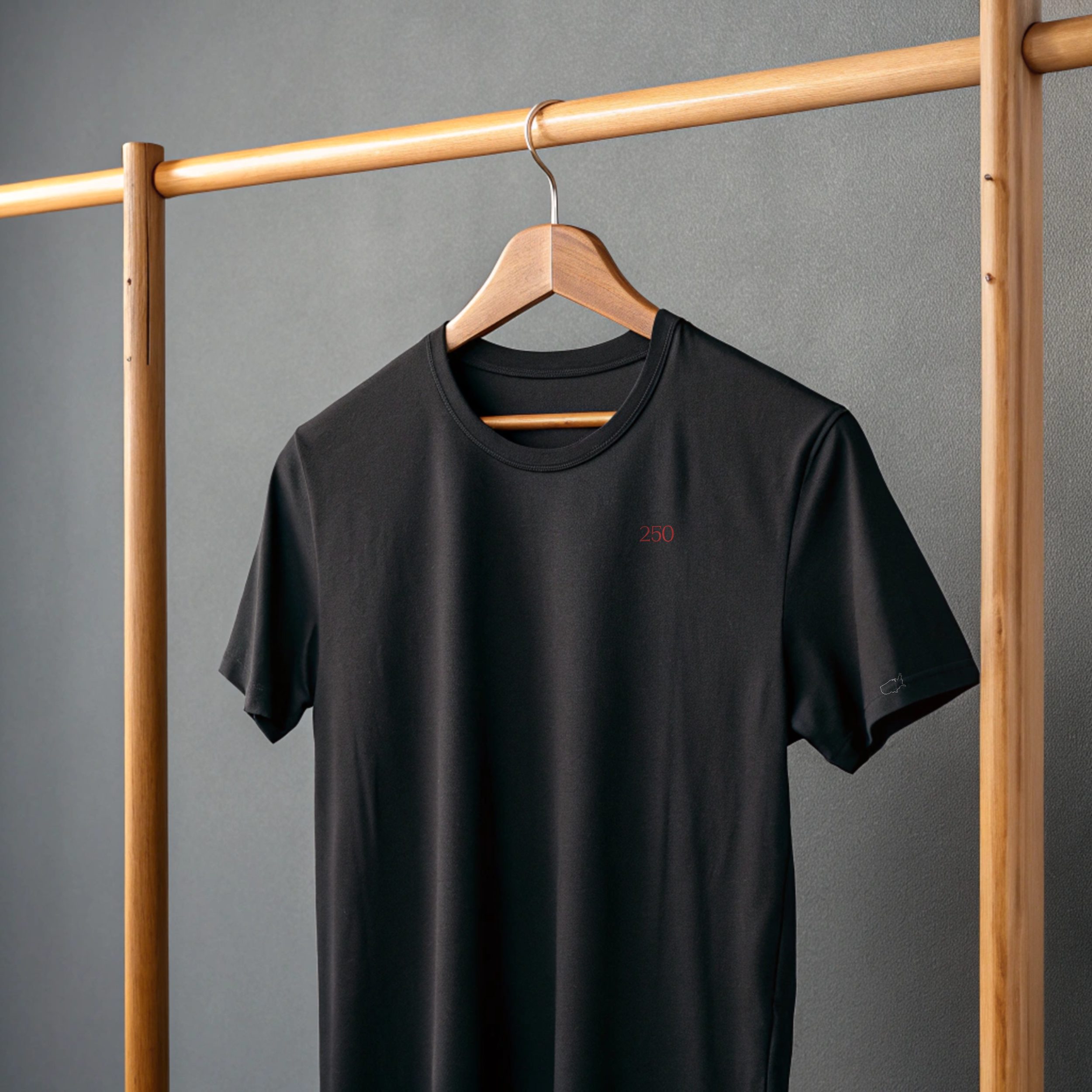 250 Black Tee on Hanger with RBA on Sleeve.png