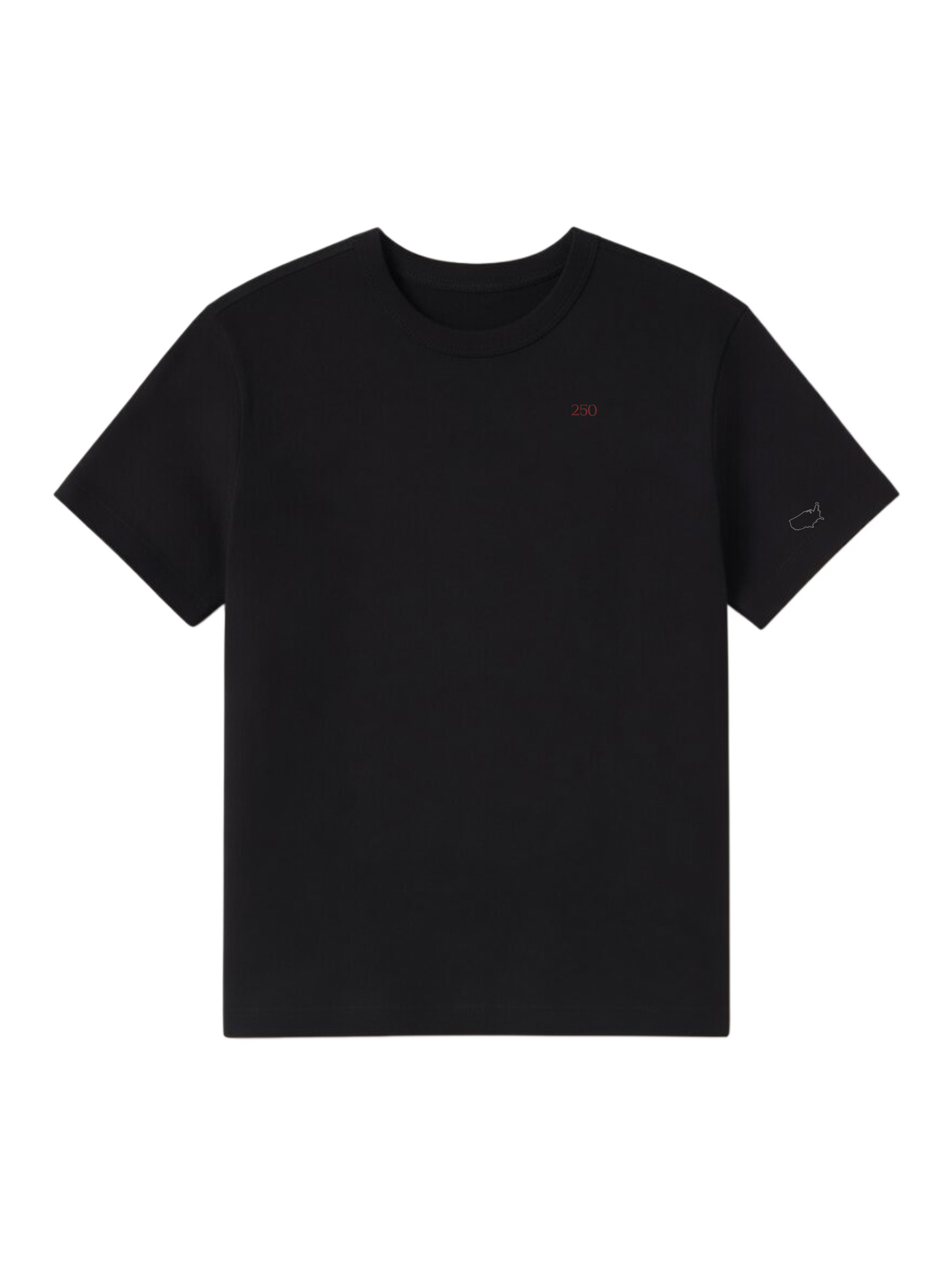 250 Black Tee with RBA on Left Sleeve.png