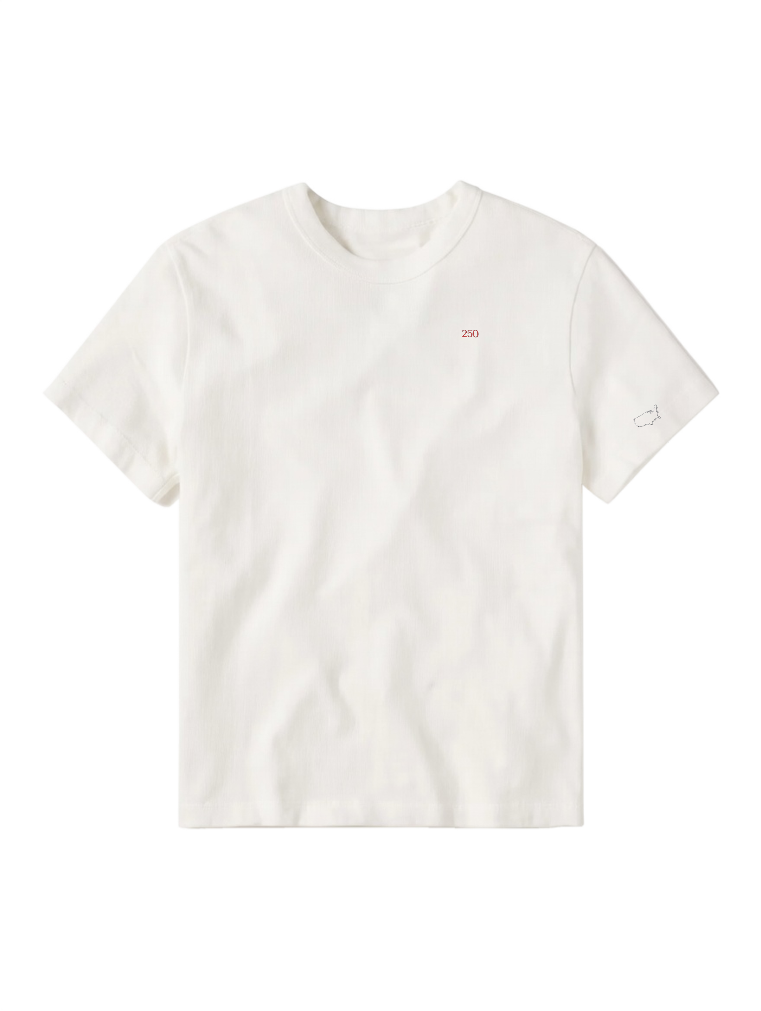 250 Wihte Tee with RBA on Left Sleeve.png