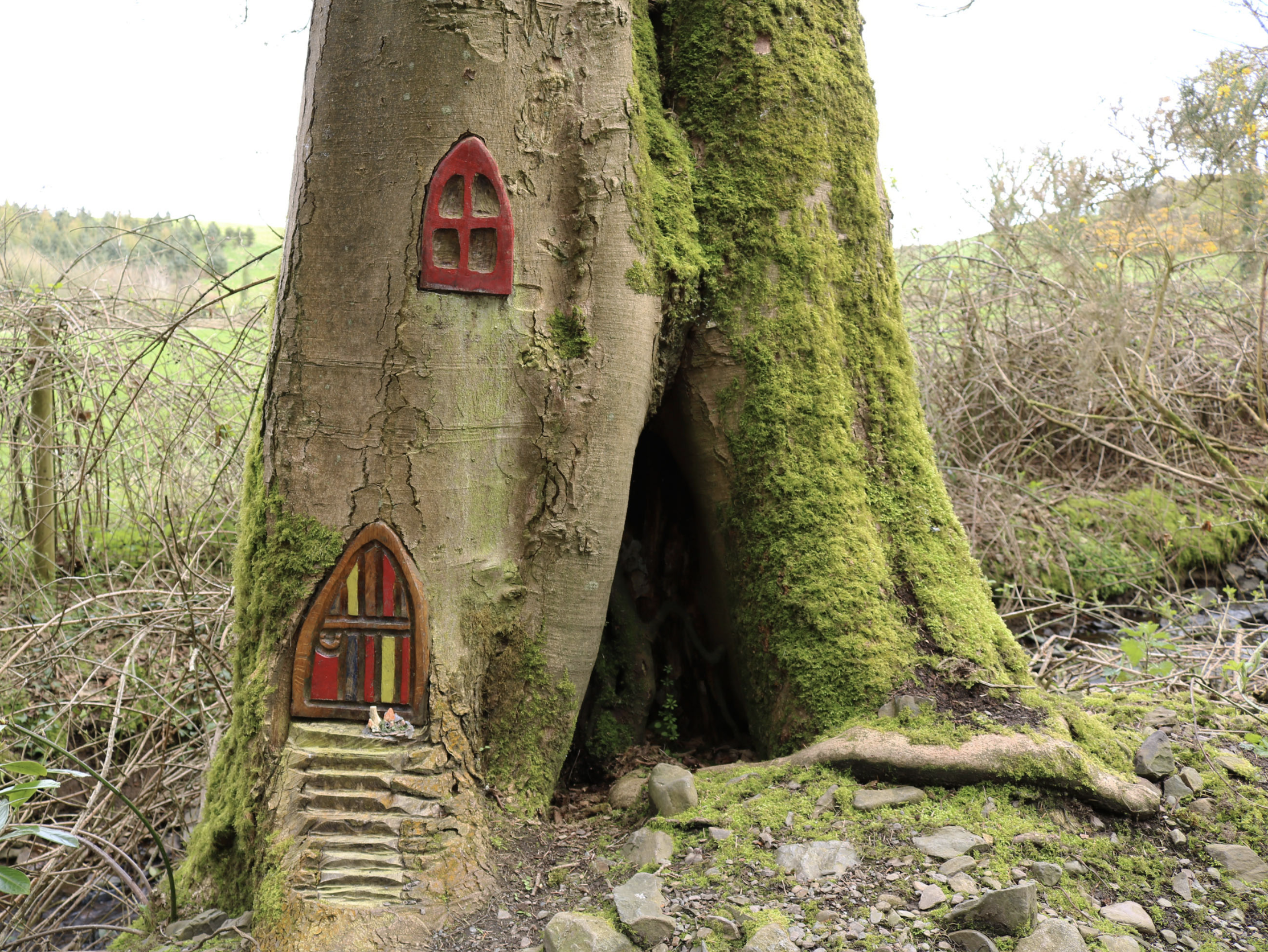 Irish Fairies: The Dark Truth Behind Ireland’s Fairy Folk