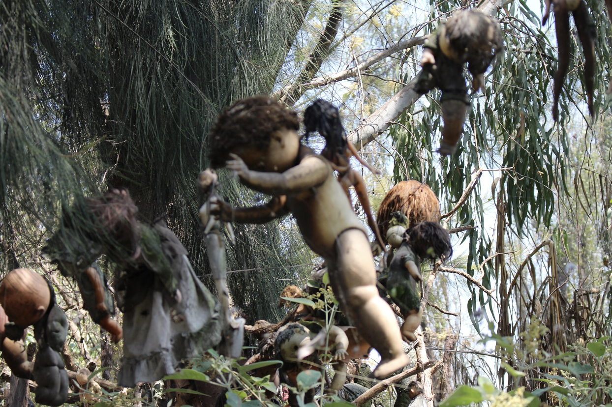 Decaying dolls tangled in the branches and undergrowth of La Isla de las Muñecas, their deteriorating bodies suspended mid-air among the trees, some headless, some limbless, all left exactly as Don Julián found them.