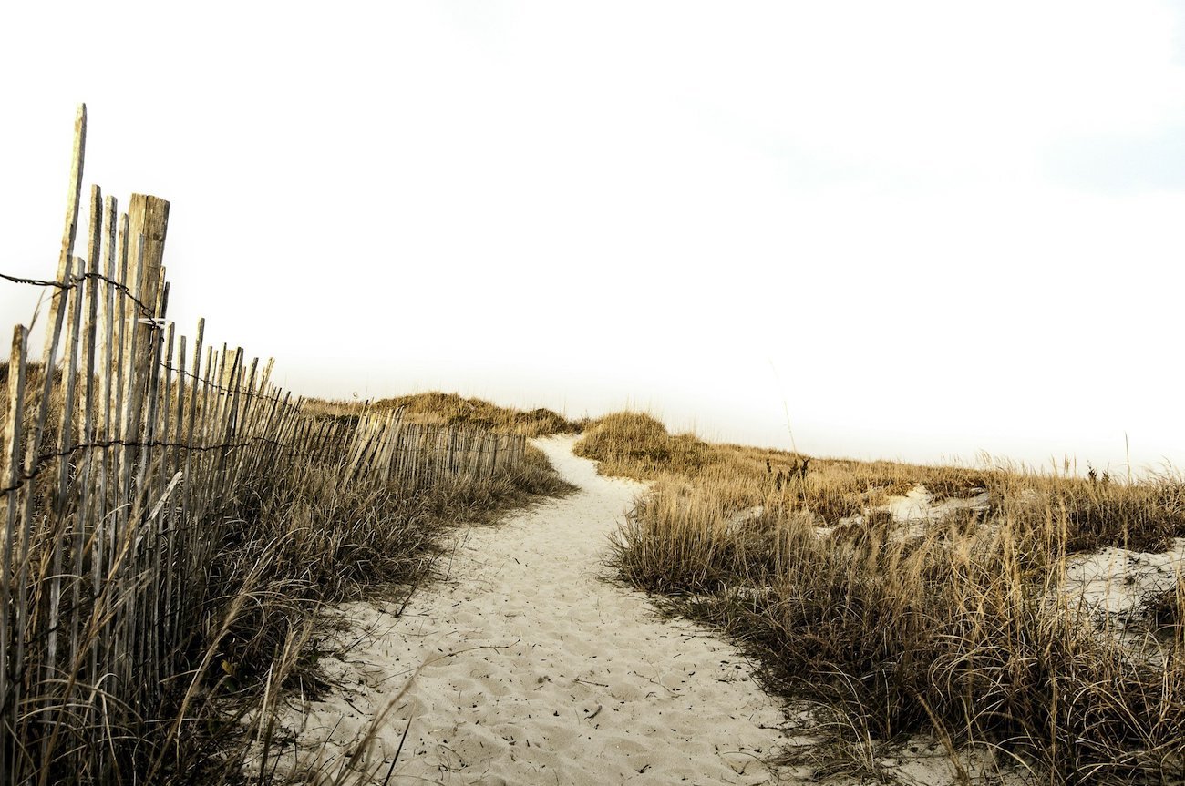 A sandy pathway through tall beach grass on a beach with a wooden fence on the left side and an open sky above.