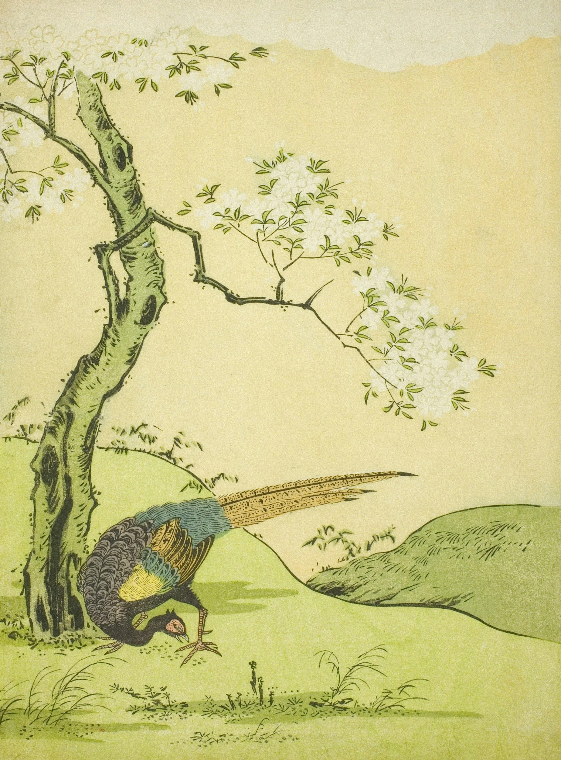 Traditional Japanese artwork depicting a peacock near a tree on a grassy landscape with mountains in the background.