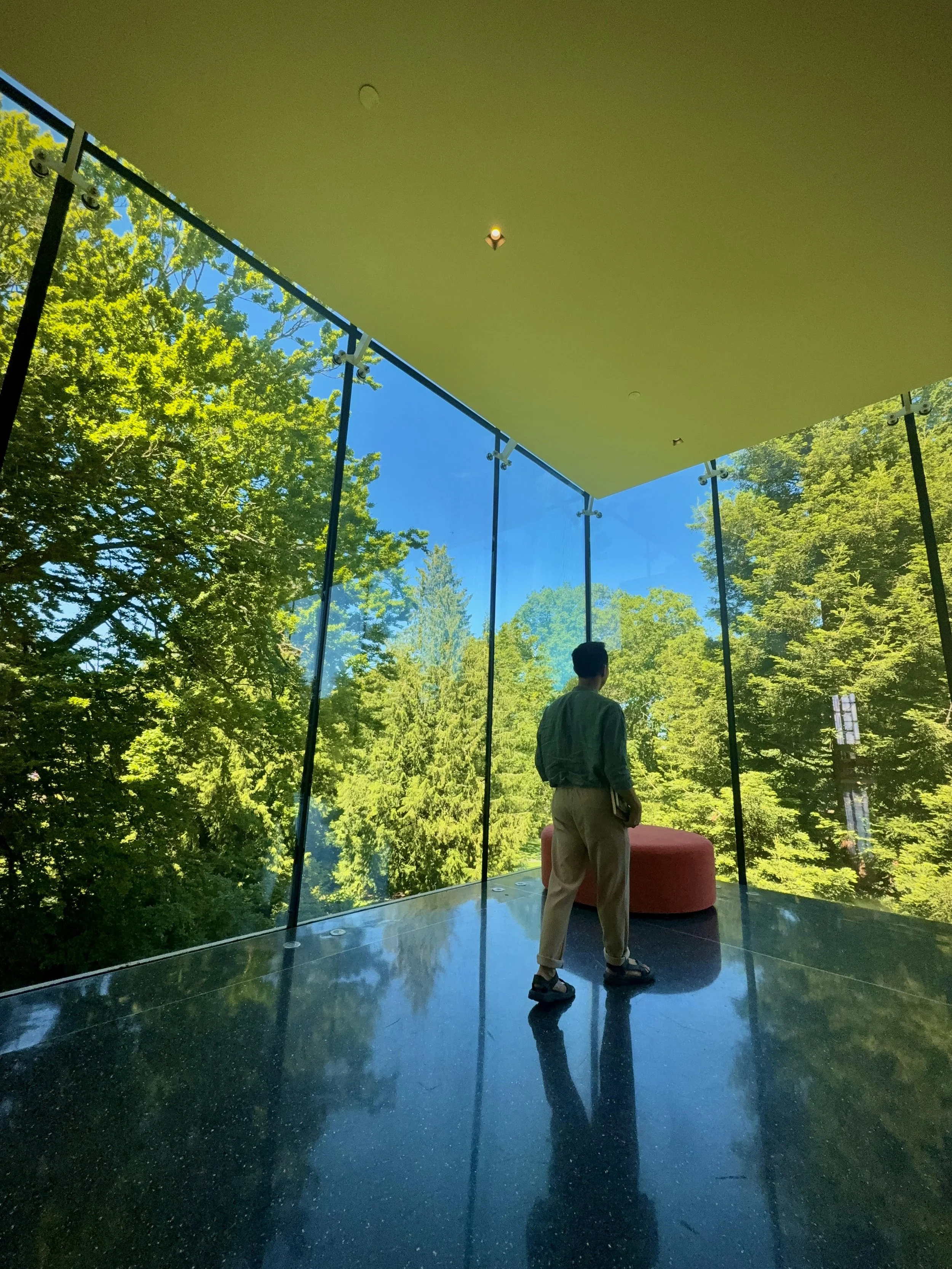 Man standing inside a modern building with large glass windows, overlooking green trees and blue sky outside.