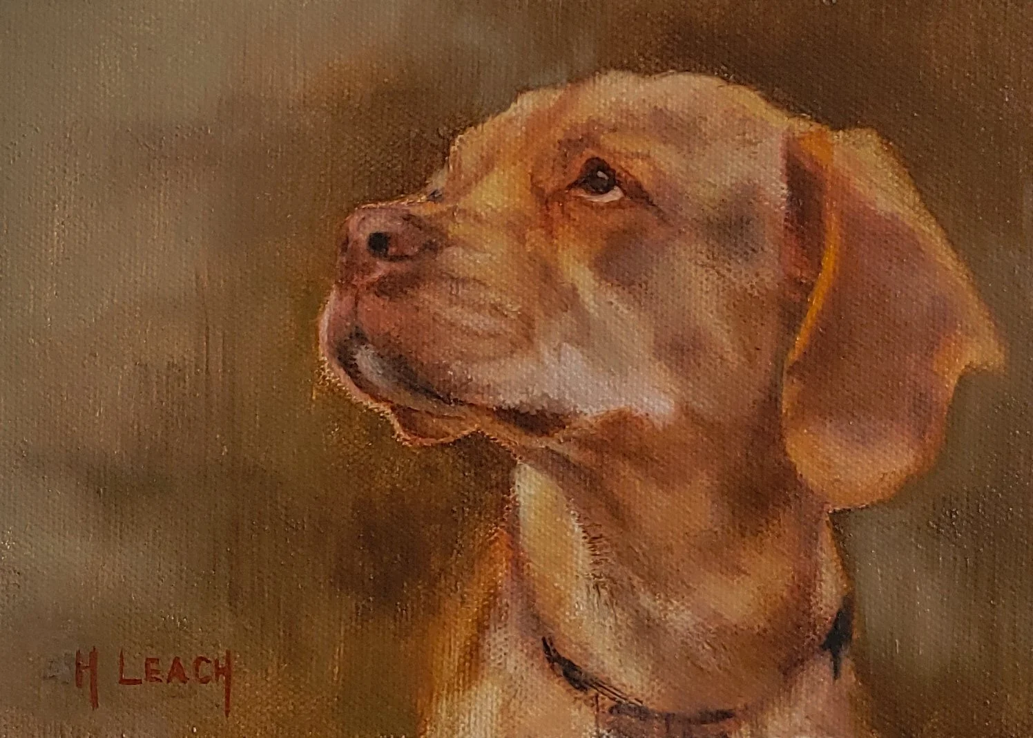 Copper - 5x7 in - Oil on panel - Sold
