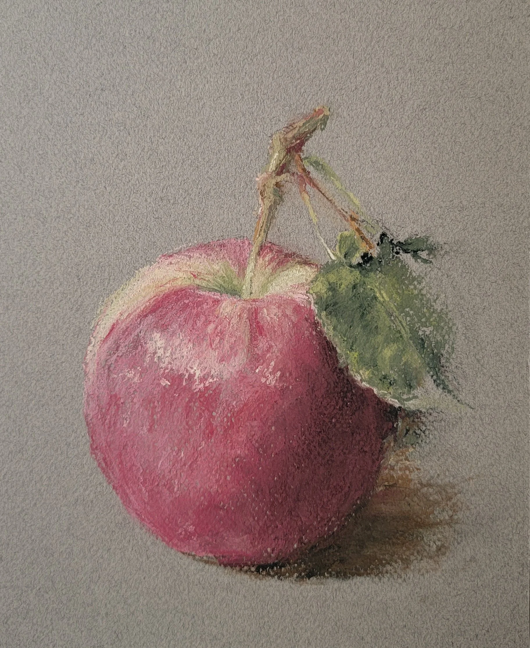 Study of Apple - 8x10 in - Pastel on paper - Sold