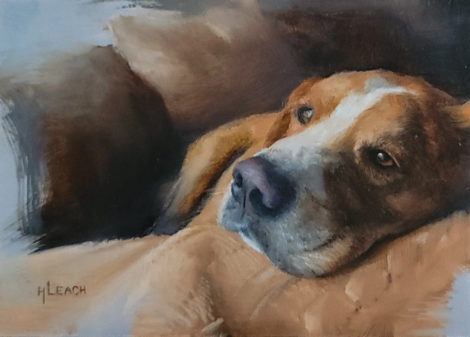 Cooper - 5x7 in - Oil on panel - Sold