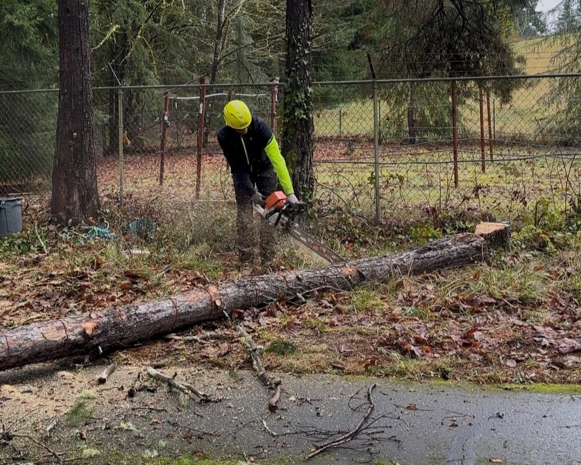 Vancouver Clark County emergecny storm tree damage removal clean up services.
