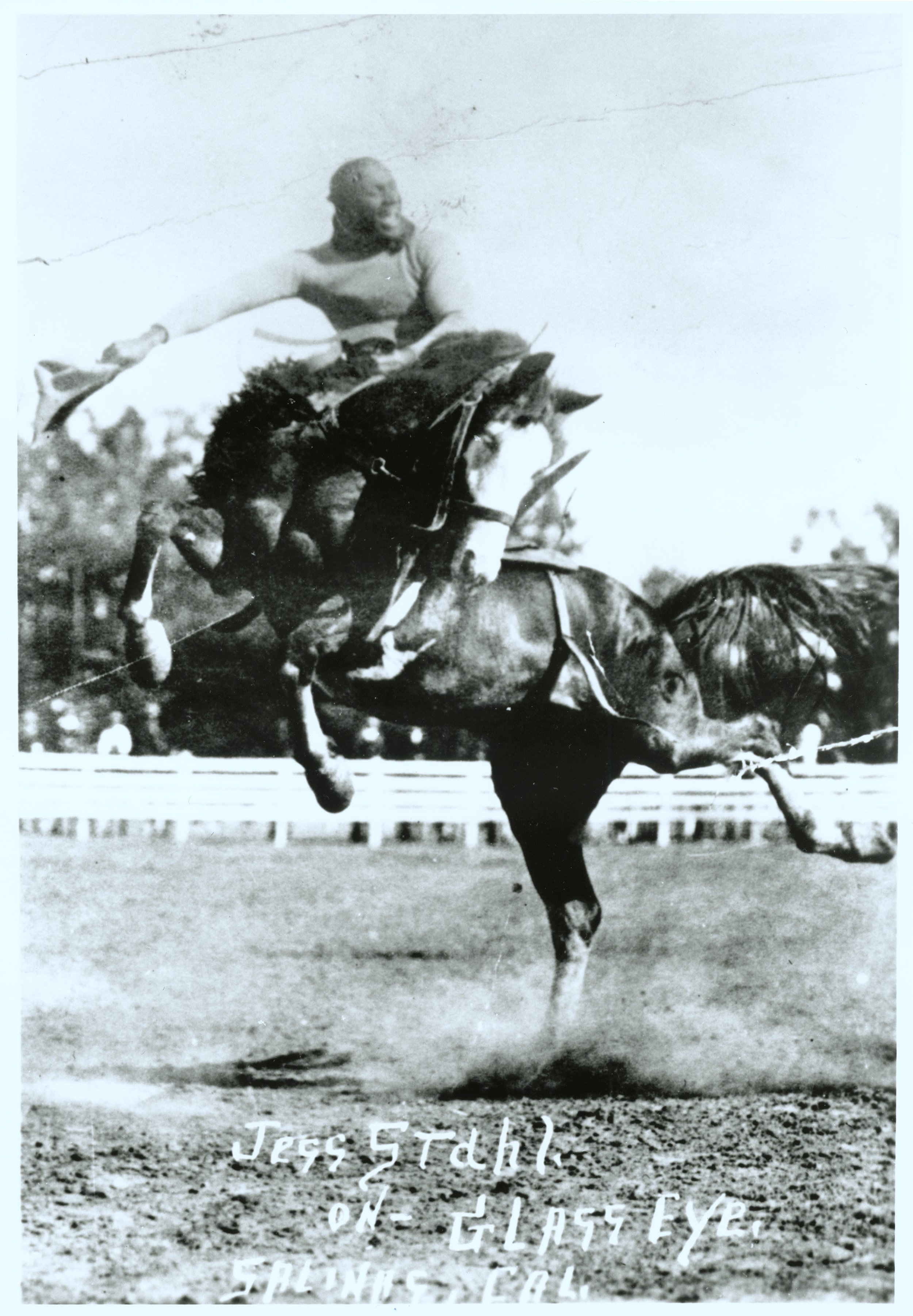 Nevada Historical Society eth05023 Jesse Stahl on Glass Eye, African-American rodeo champion MASTER i