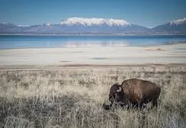 March Campout - Antelope Island