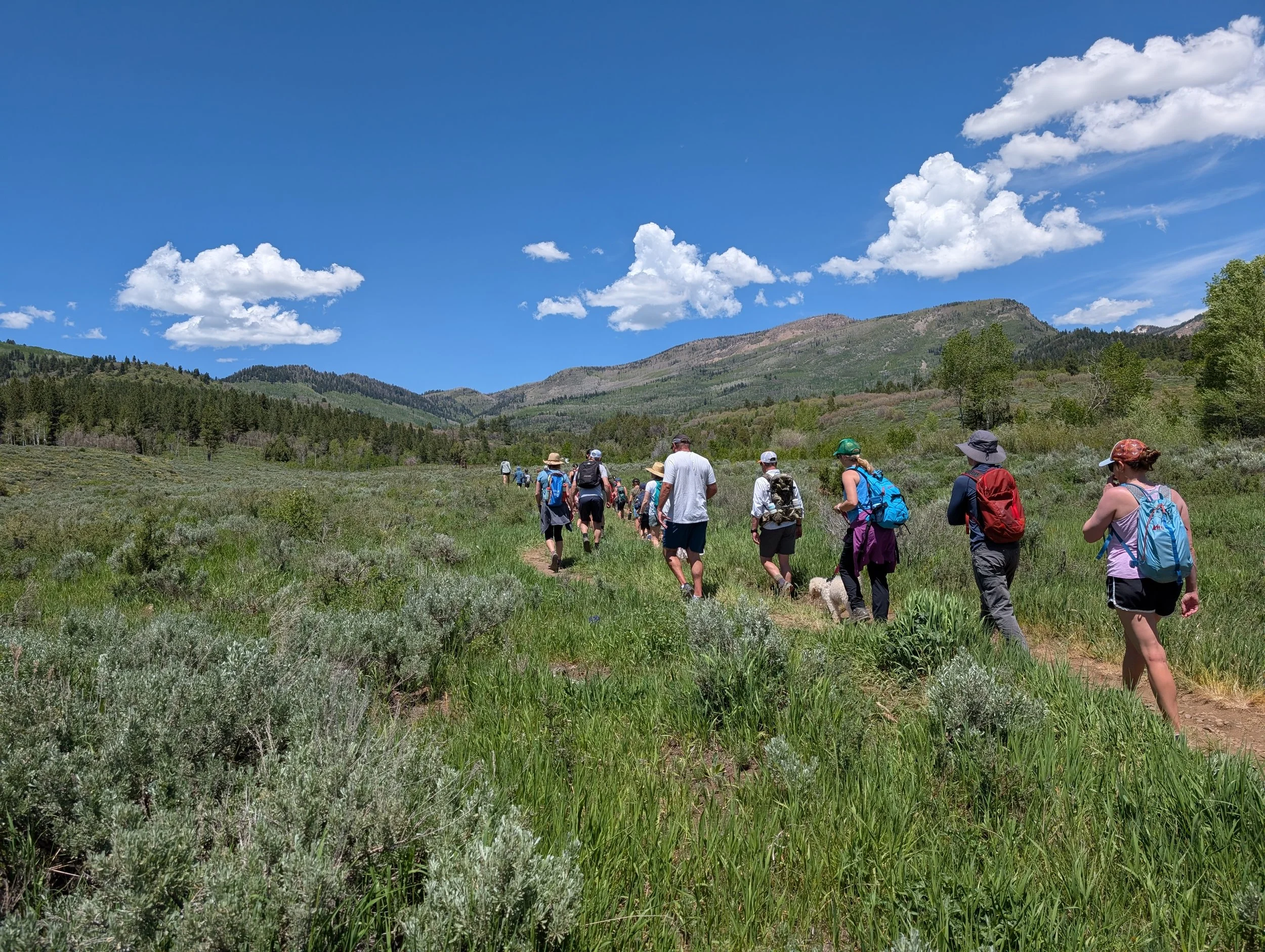 Pack Hike