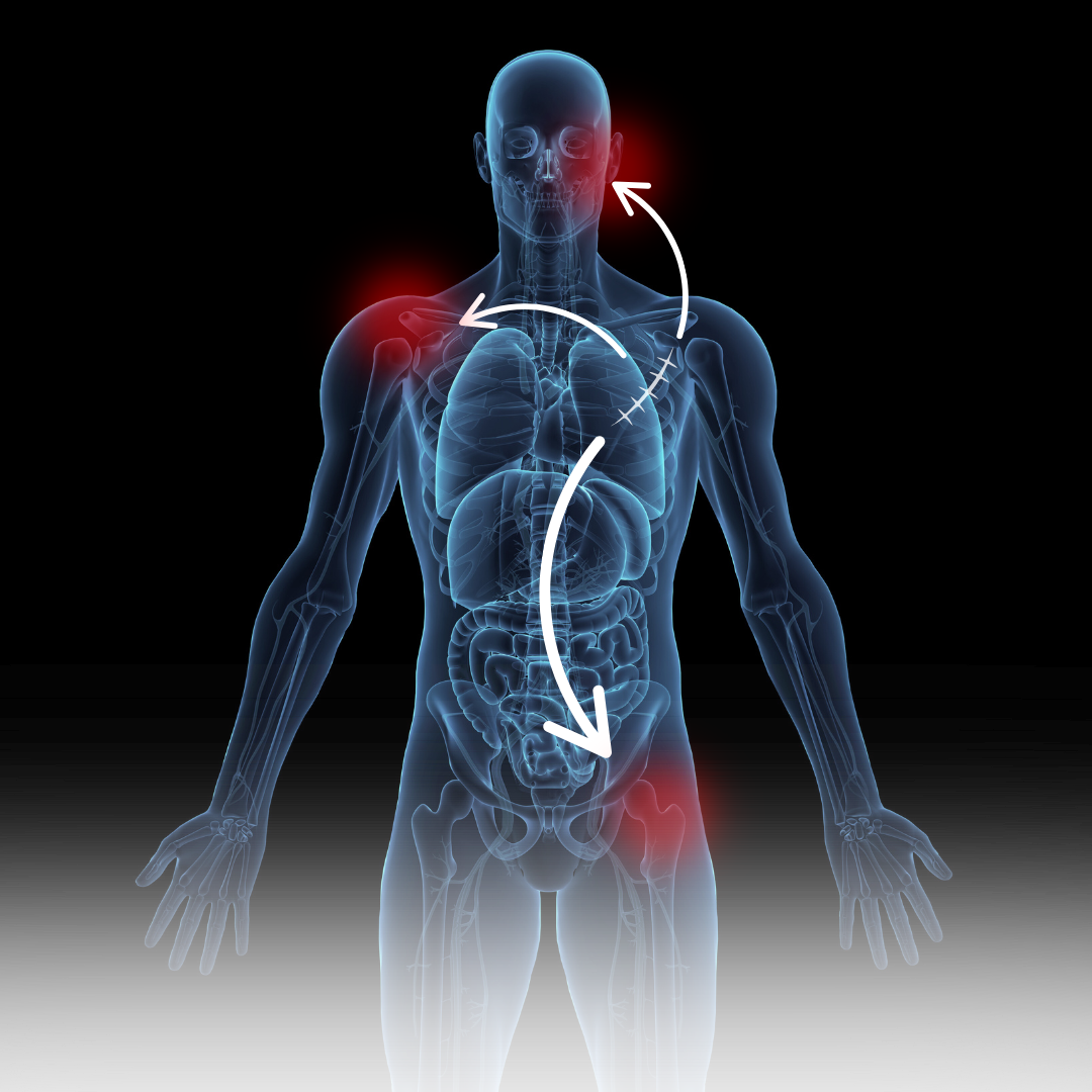 Richard Nahas MD | Discover Holistic Healing Today