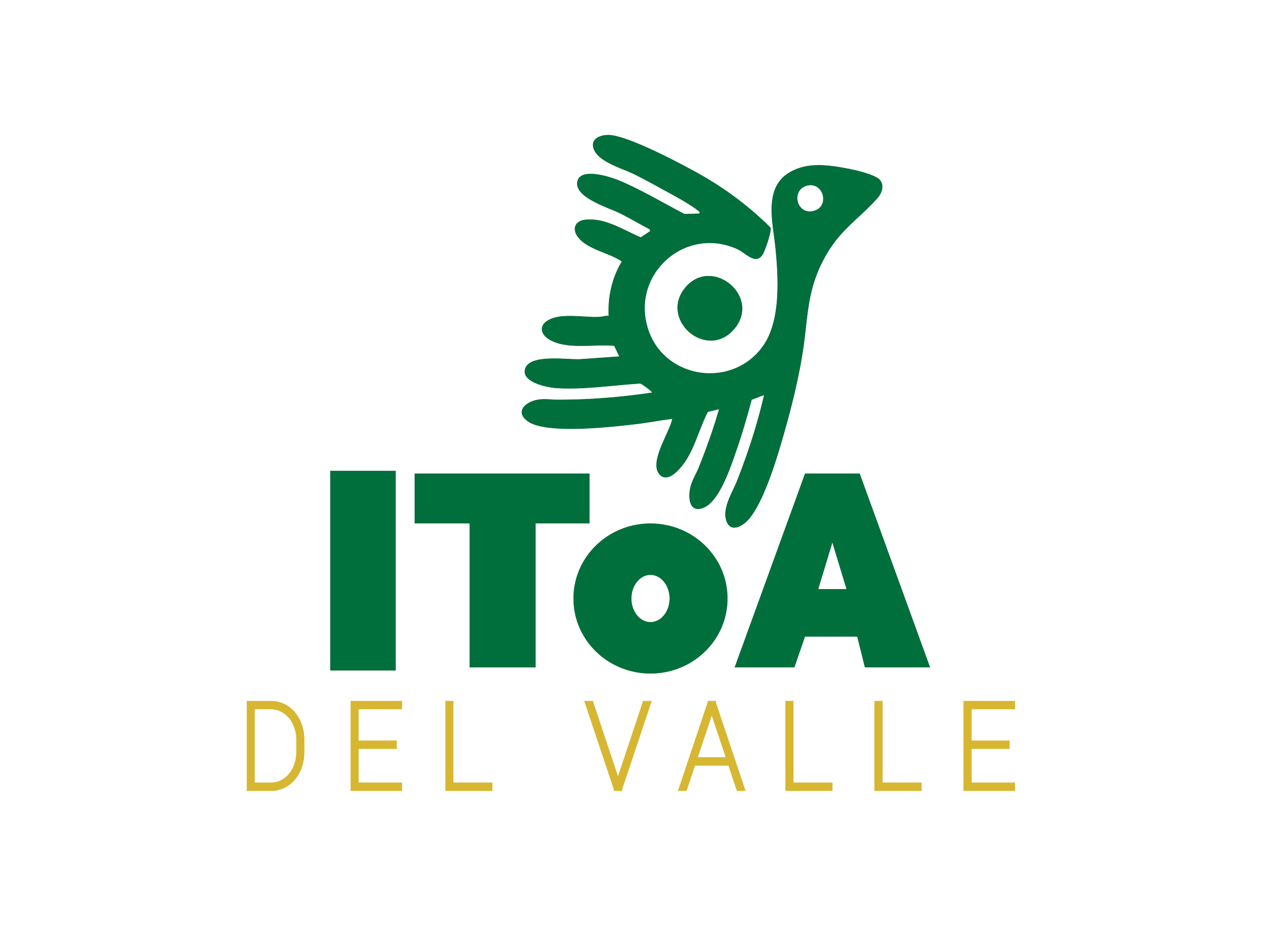 Experiencia en enseñanza de idiomas