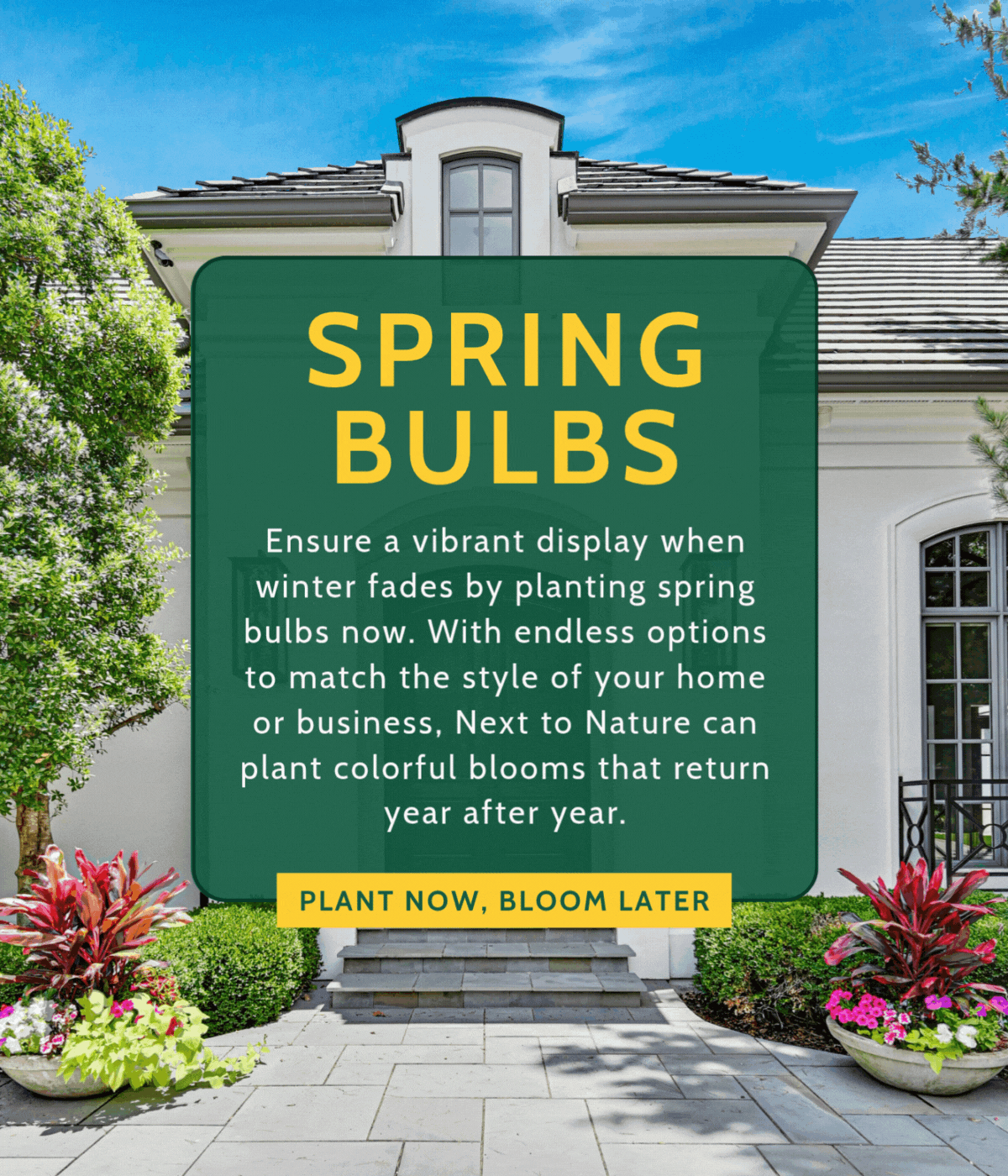 Next To Nature Landscape