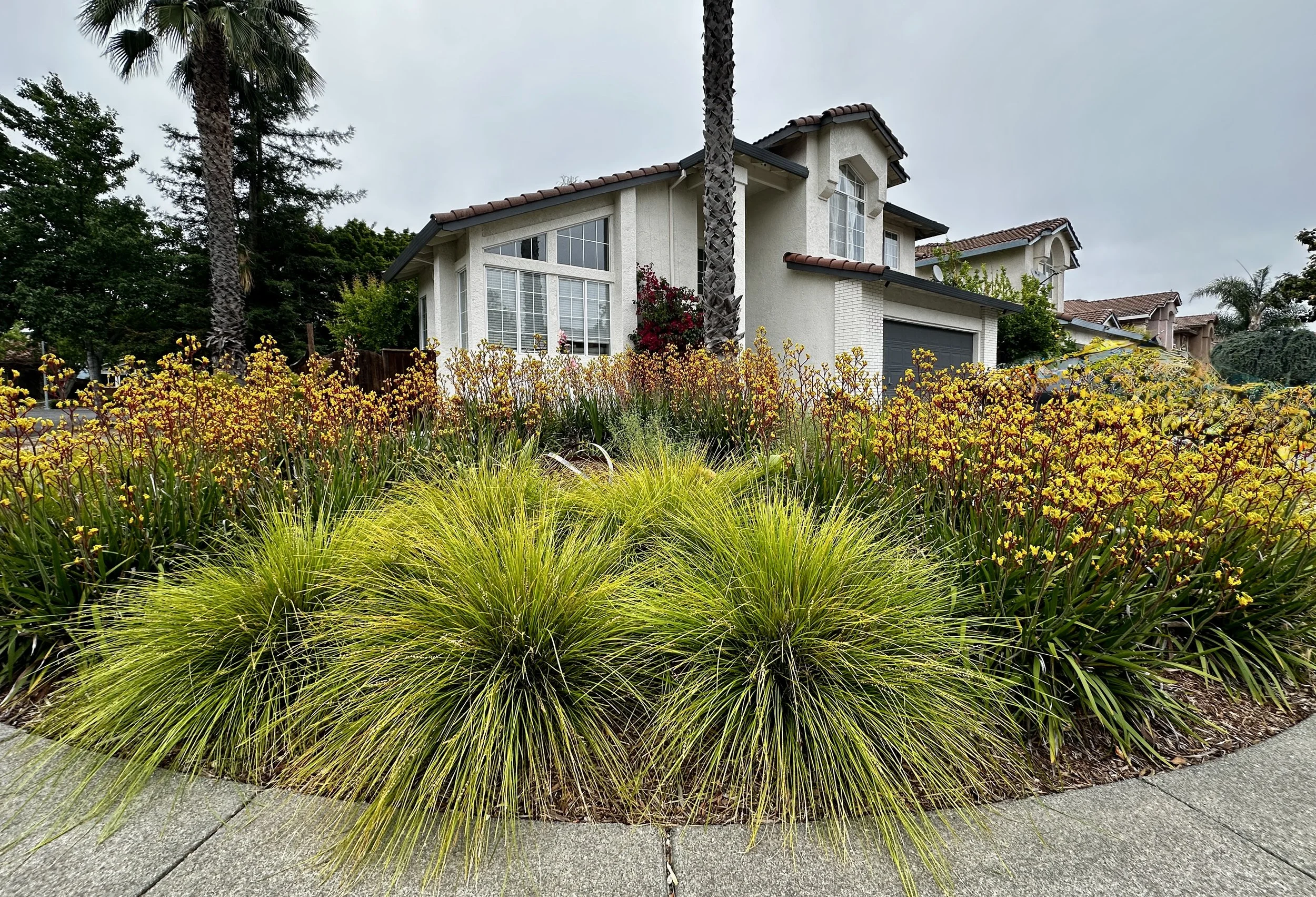 Allegheny GardenJPG.JPG