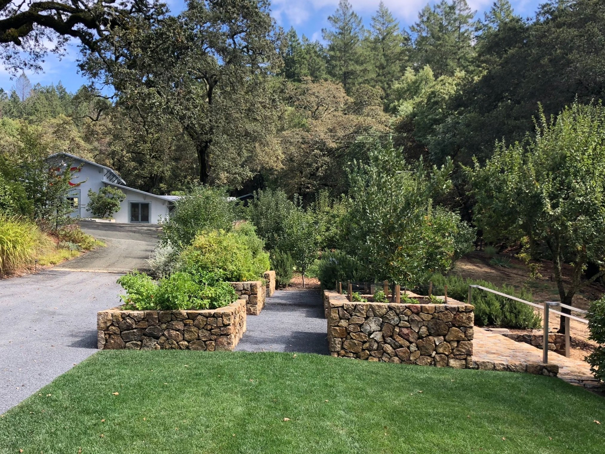 Silver Cloud Prod.jpg