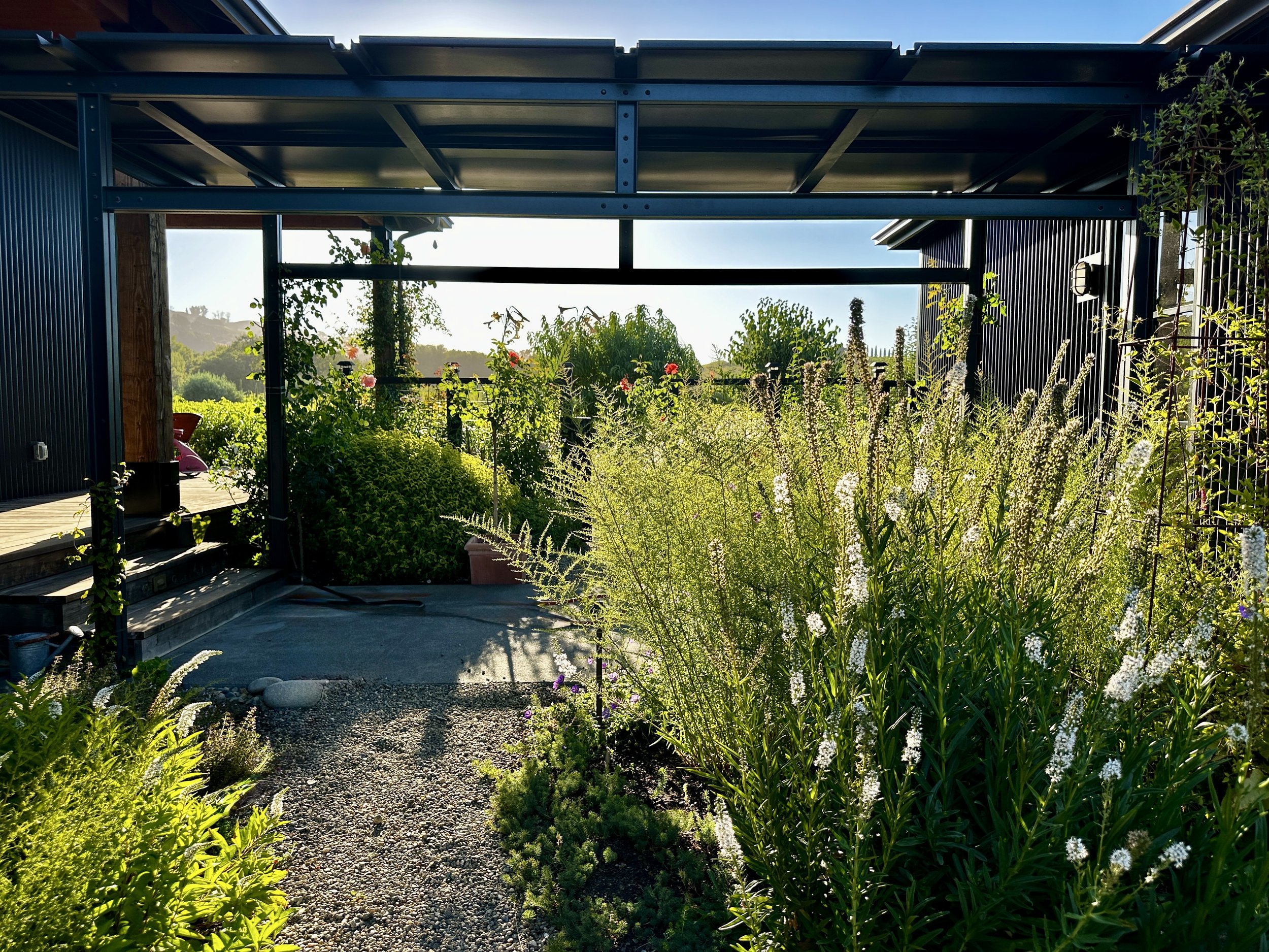 Limerick Prod Garden.JPG