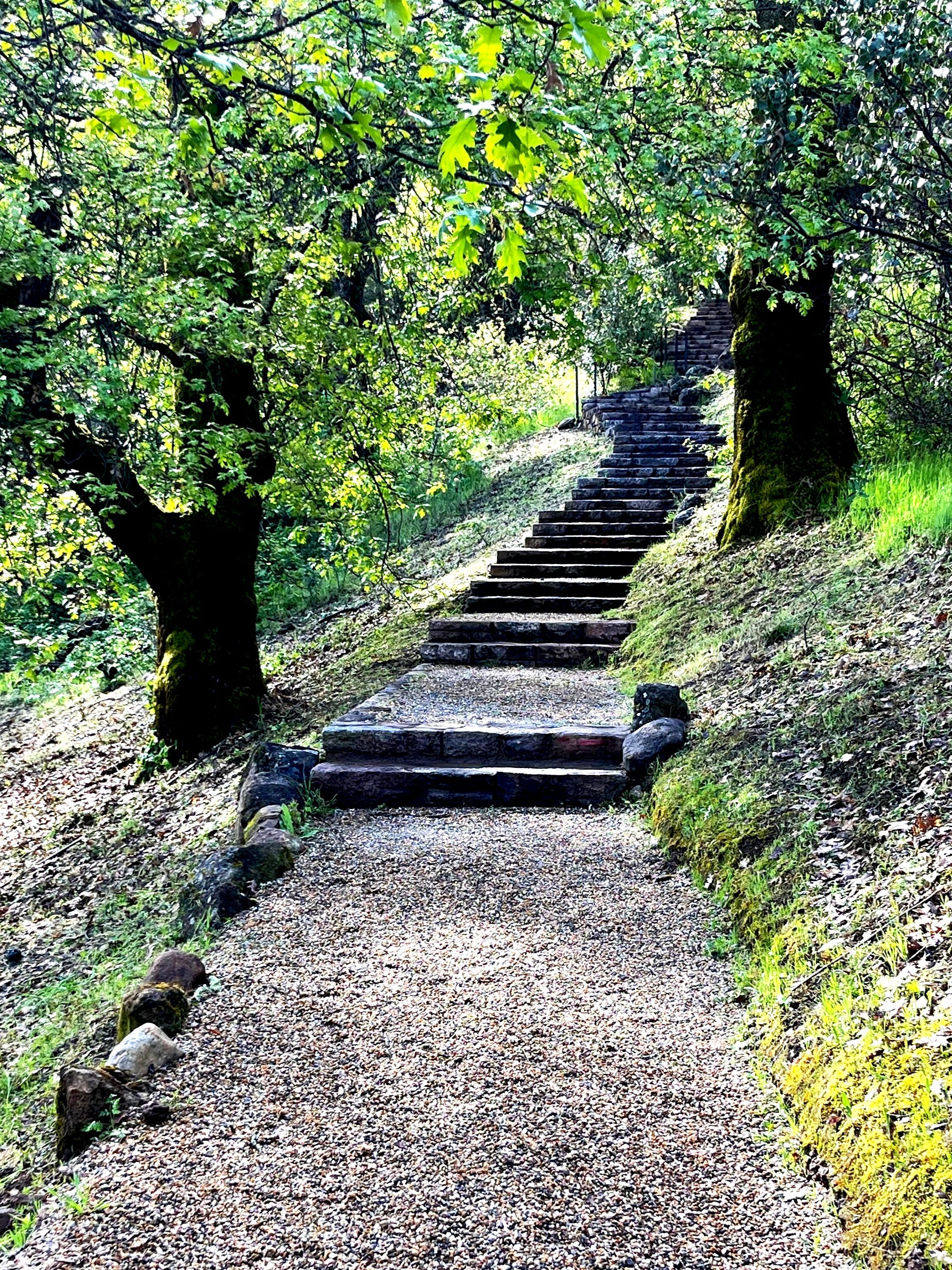 2_Oak Hill Steps.jpg