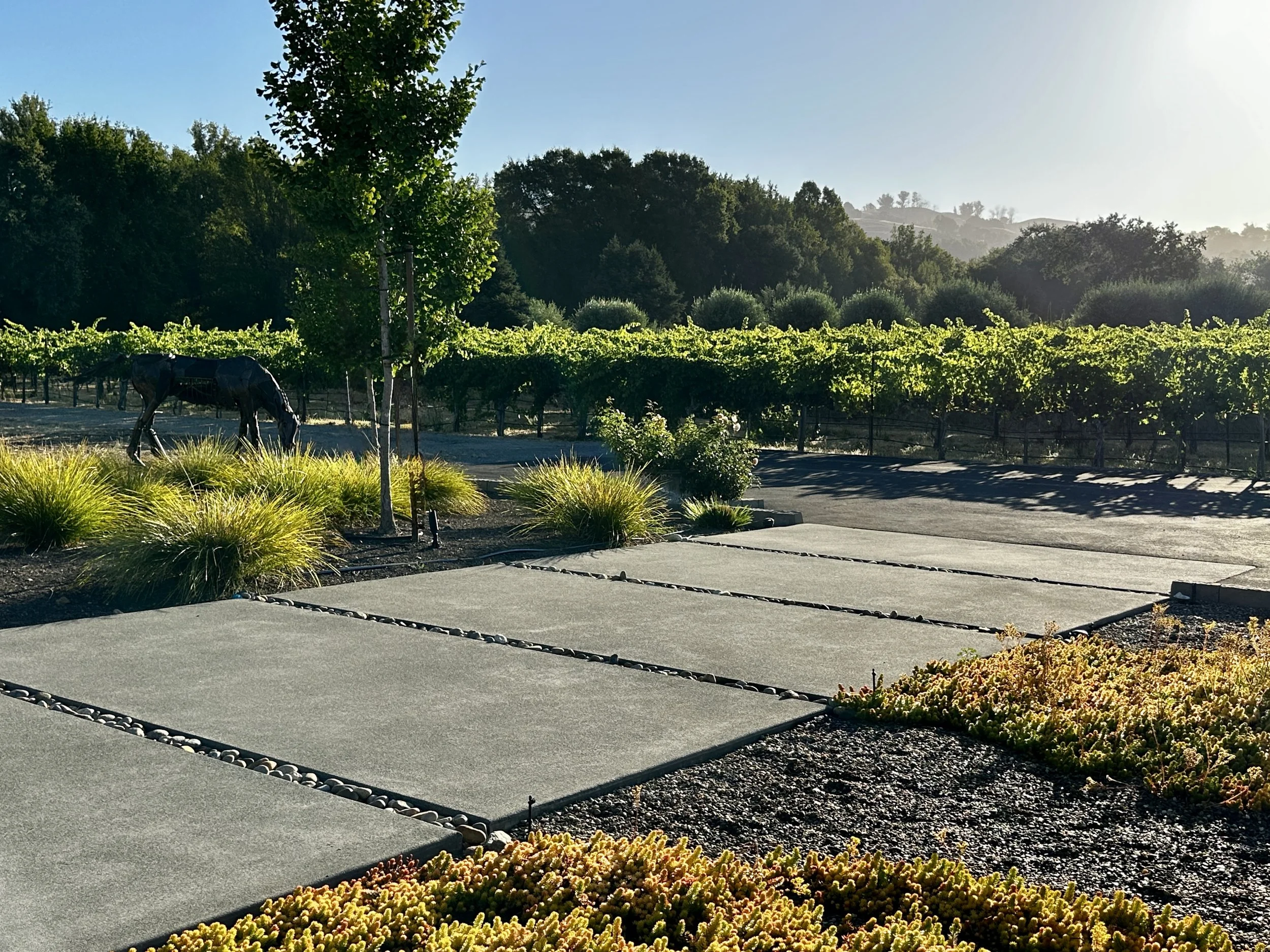 Limerick Horse + Pavers.JPG