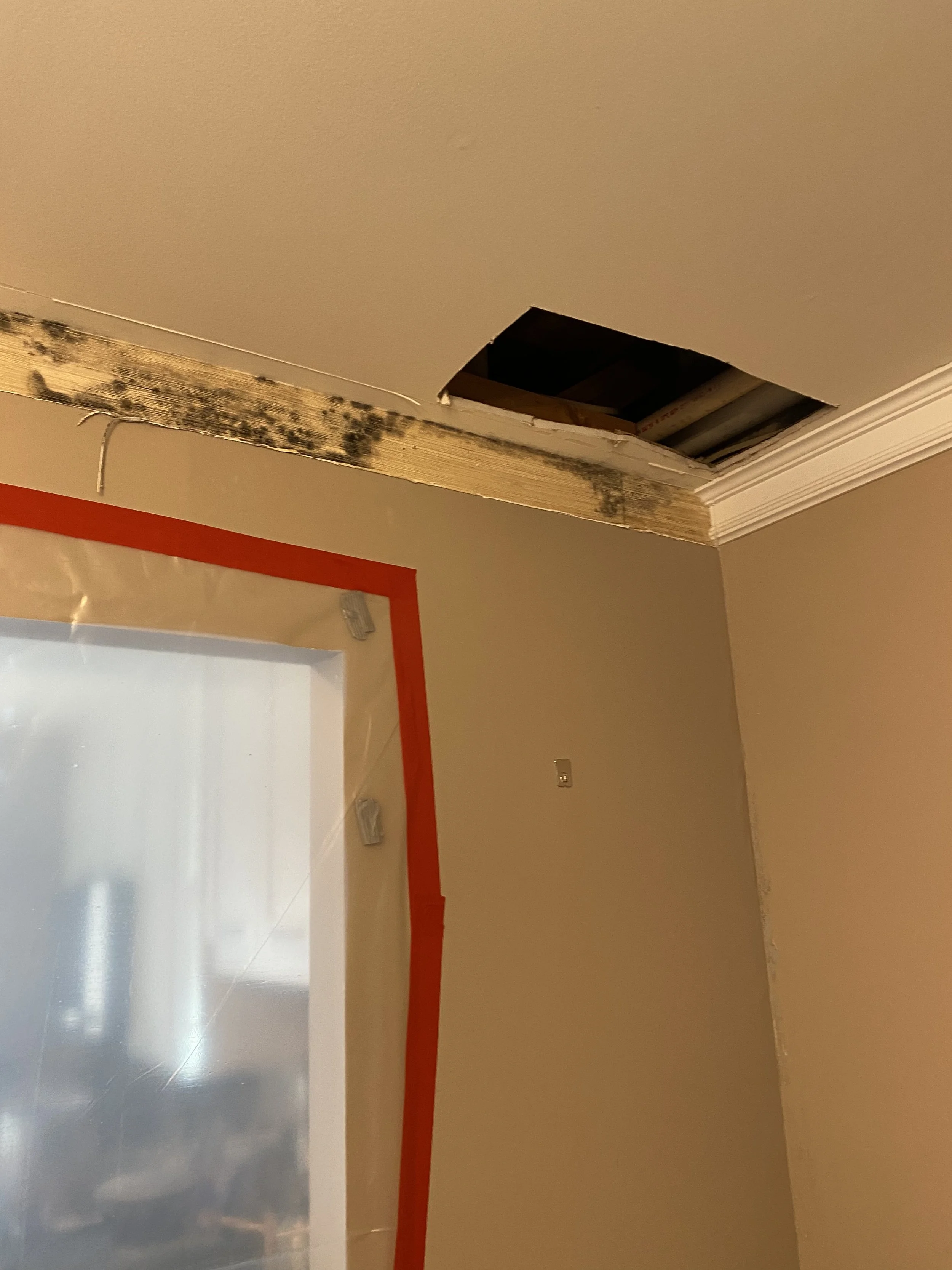 Mold Due To Slow Leaking Toilet Above 
(Before Photo)