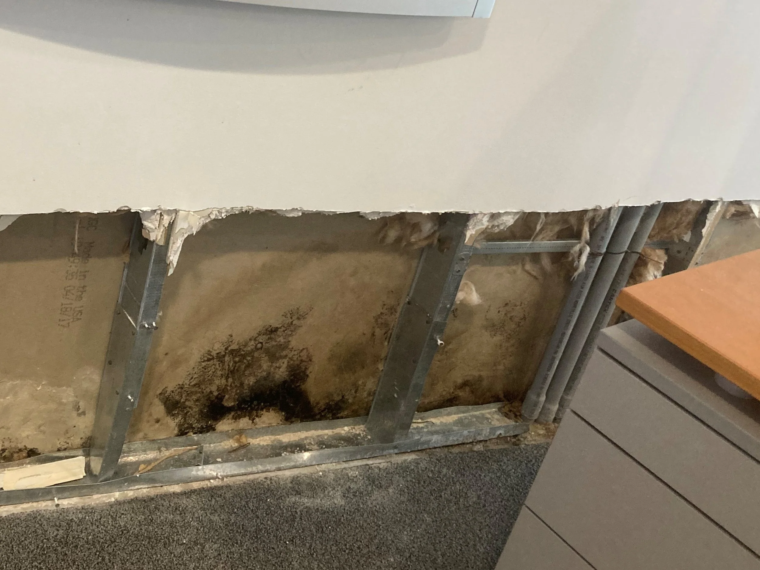 68453572611__F9DC81A0-EE21-4670-92A0-8796917B6D46 (2).jpg