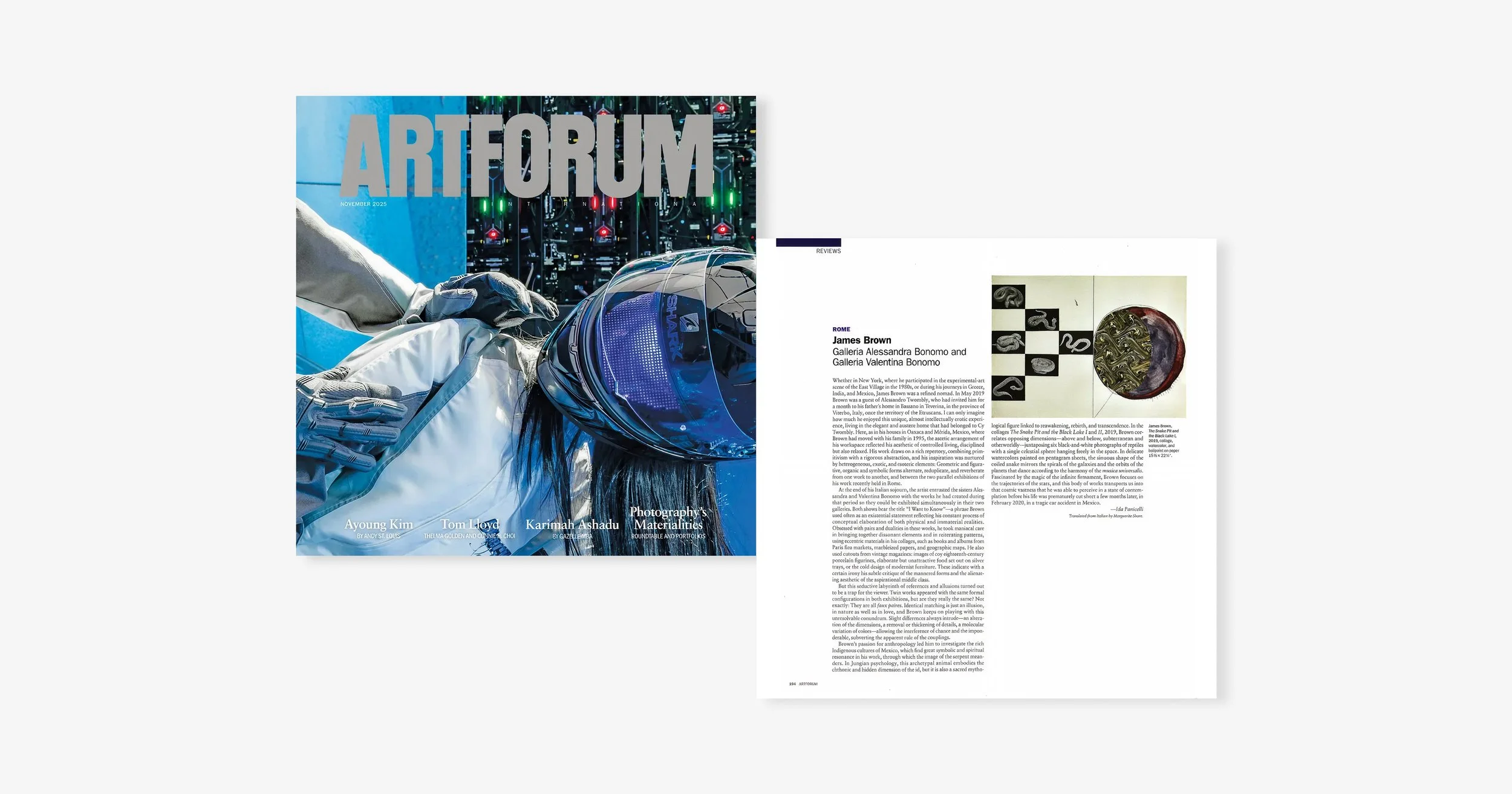 ARTFORUM review — James Brown at Bonomo Galleries, Rome