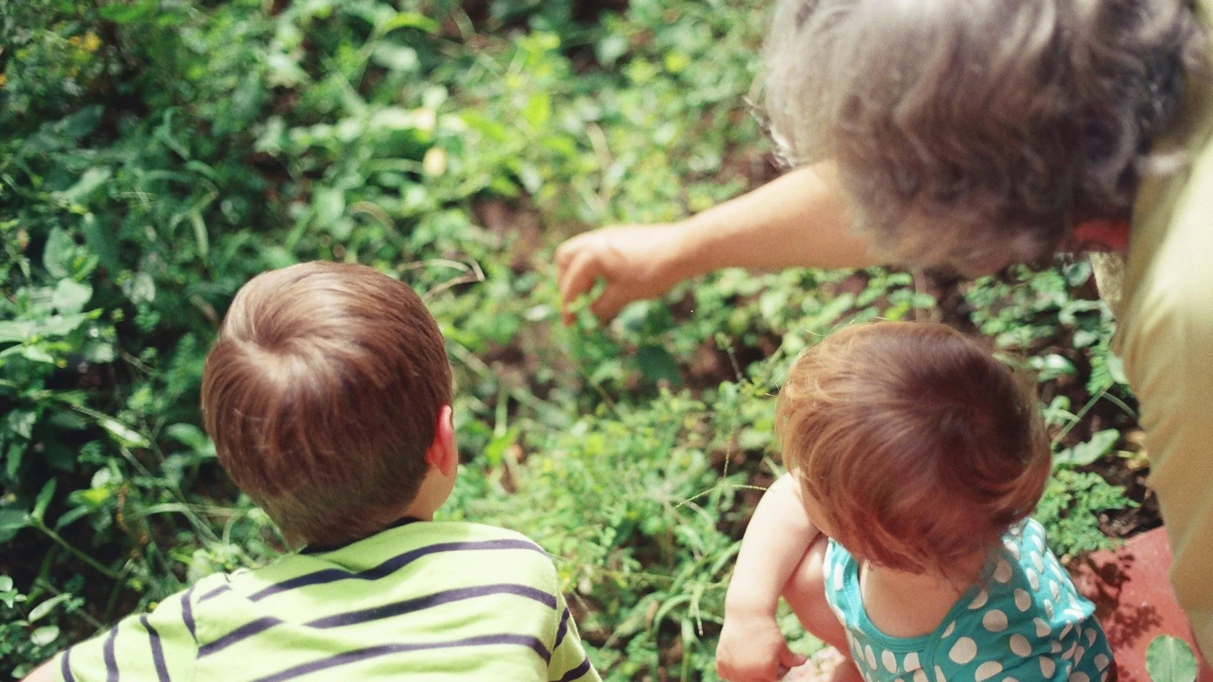 Three children with brown hair, one girl and two boys, exploring green foliage outdoors, with one girl reaching into the plants.