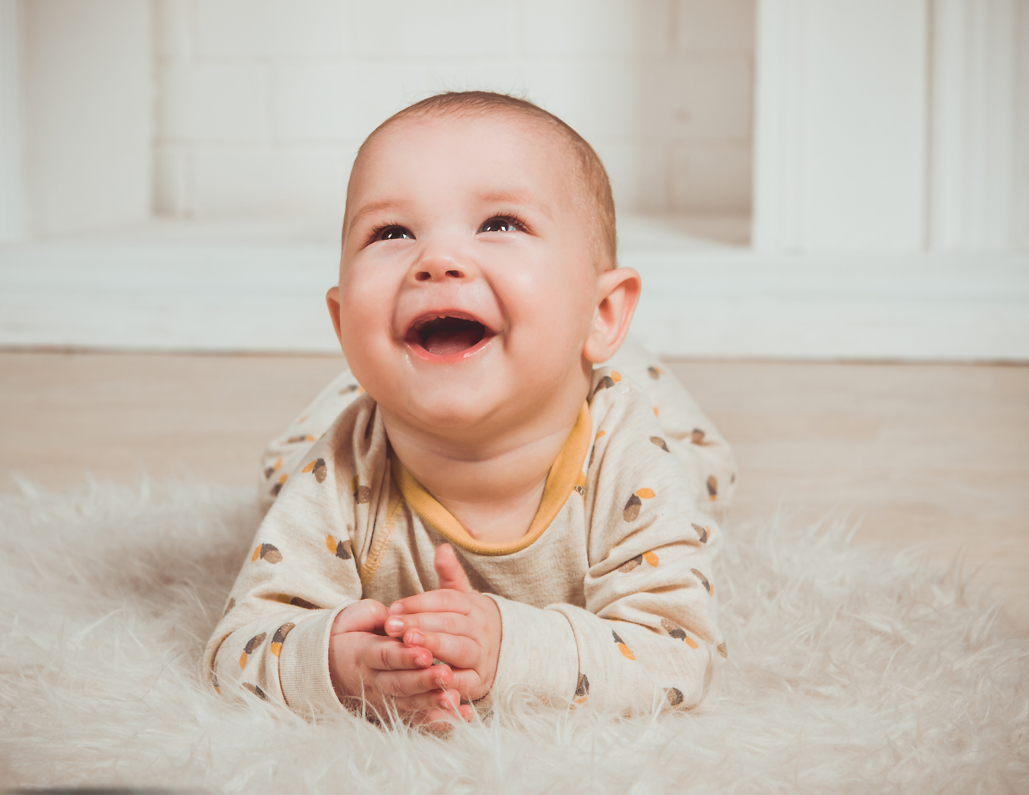 Domestic Infant/International Adoption Information Session