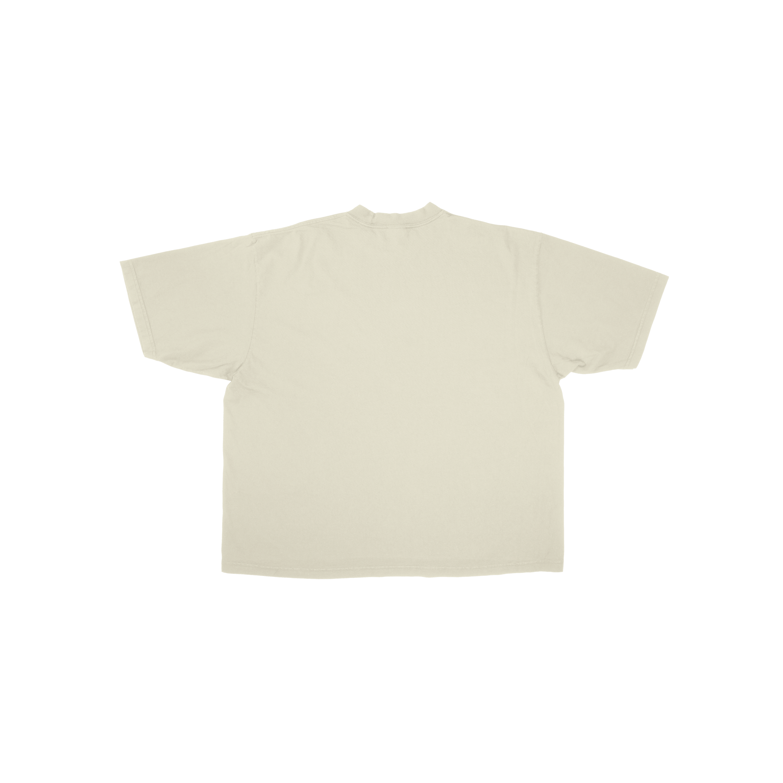 SS Mocks_Artboard 19.png