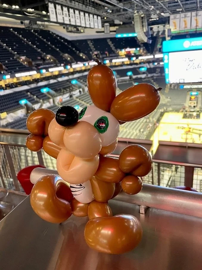 Small Coyote.JPG