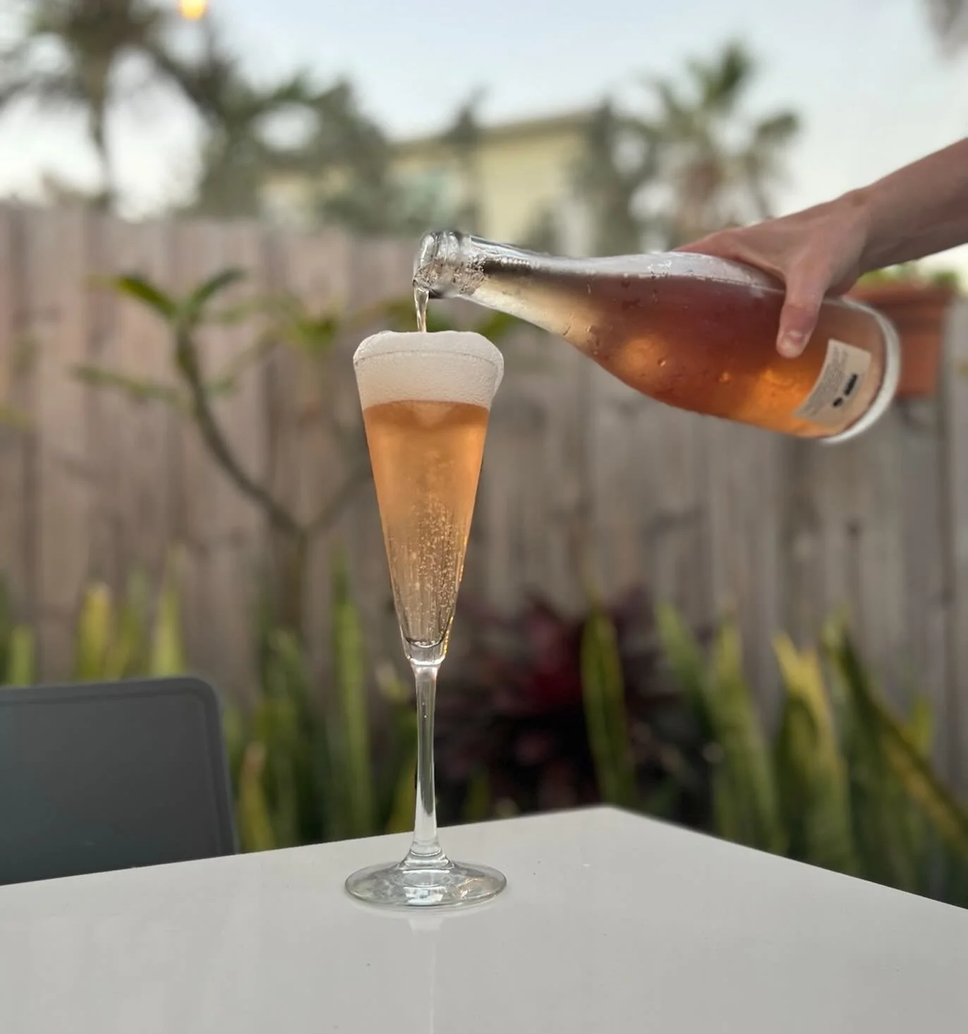 Wine Wednesday !!! 1/2 off wine bottles $80 and under! Mention this add to claim yours 🍷 not applicable to takeaway 😎