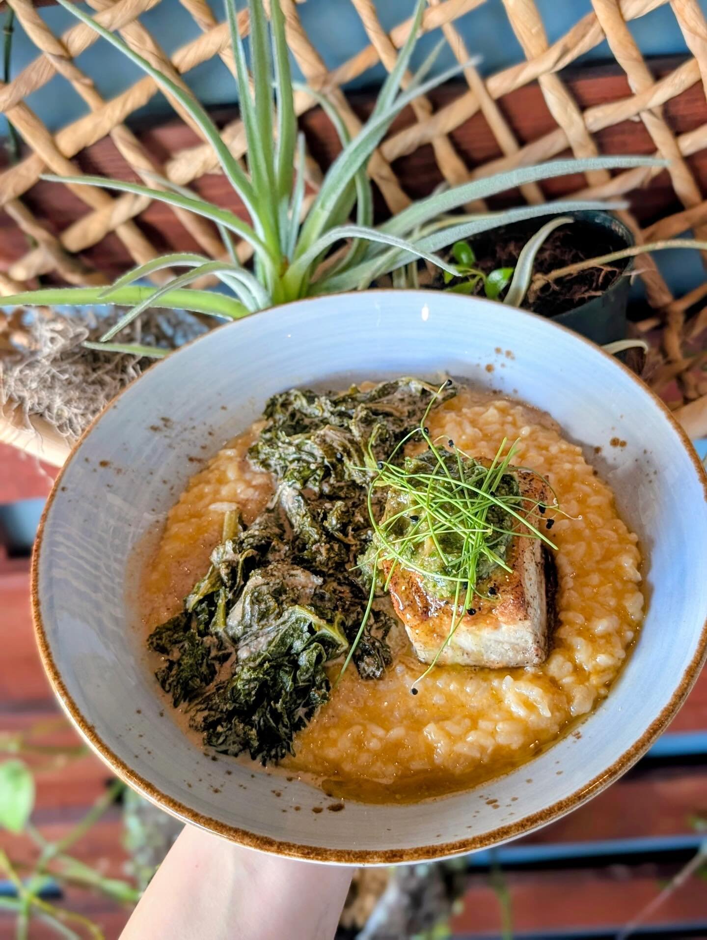 Pan seared fresh catch with sage brown butter sweet potato risotto, saut&eacute;ed walnut creamed kale, and topped with a walnut gremolata. Fall flavors for the win 🤩