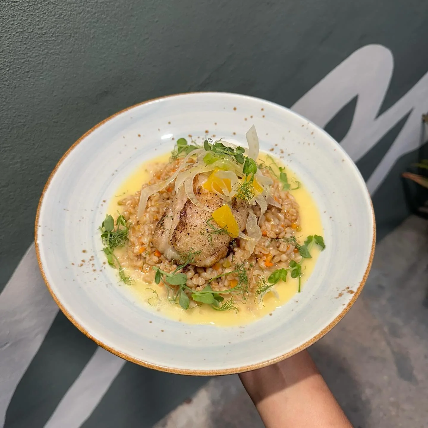 Winter catch alert 🚨 Saut&eacute;ed fresh fish, farro pilaf, charred lemon beurre blanc, and a citrus fennel salad.