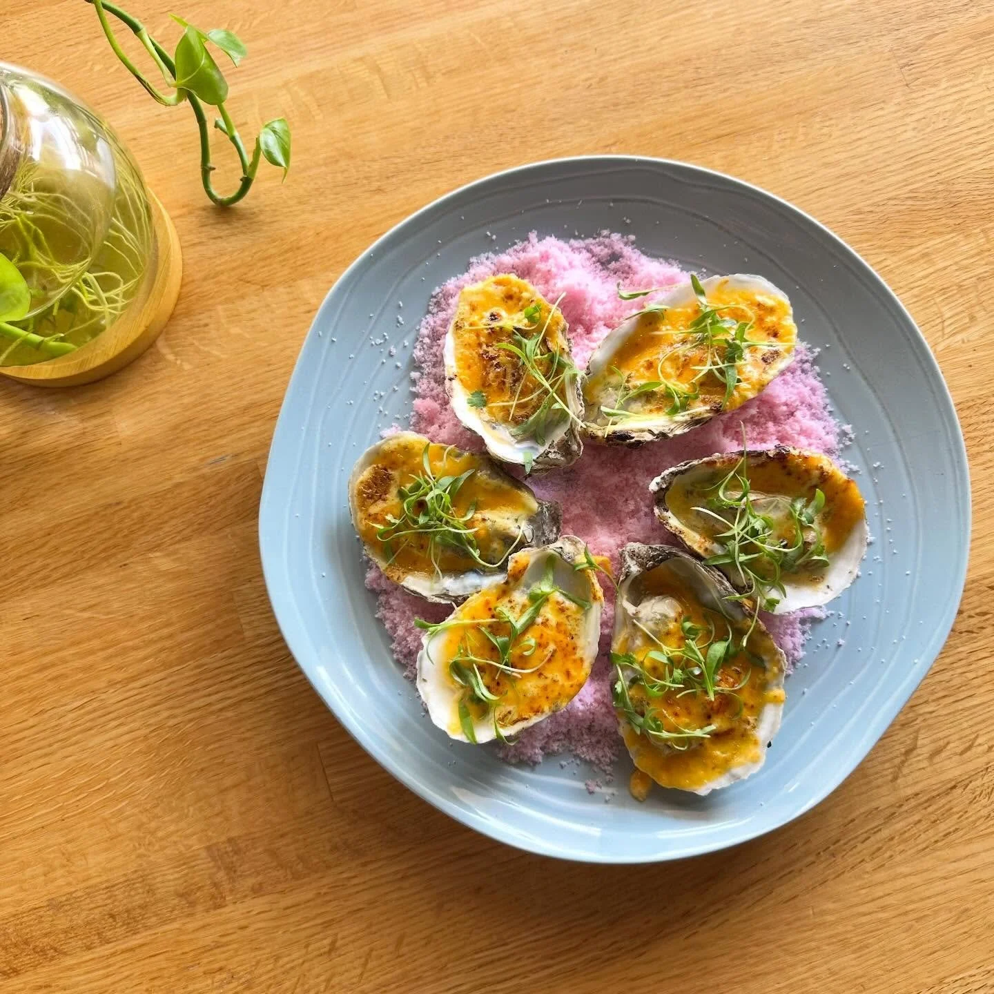 Oysters are baaackkk 🦪 oyster motoyaki - yes please 🤤