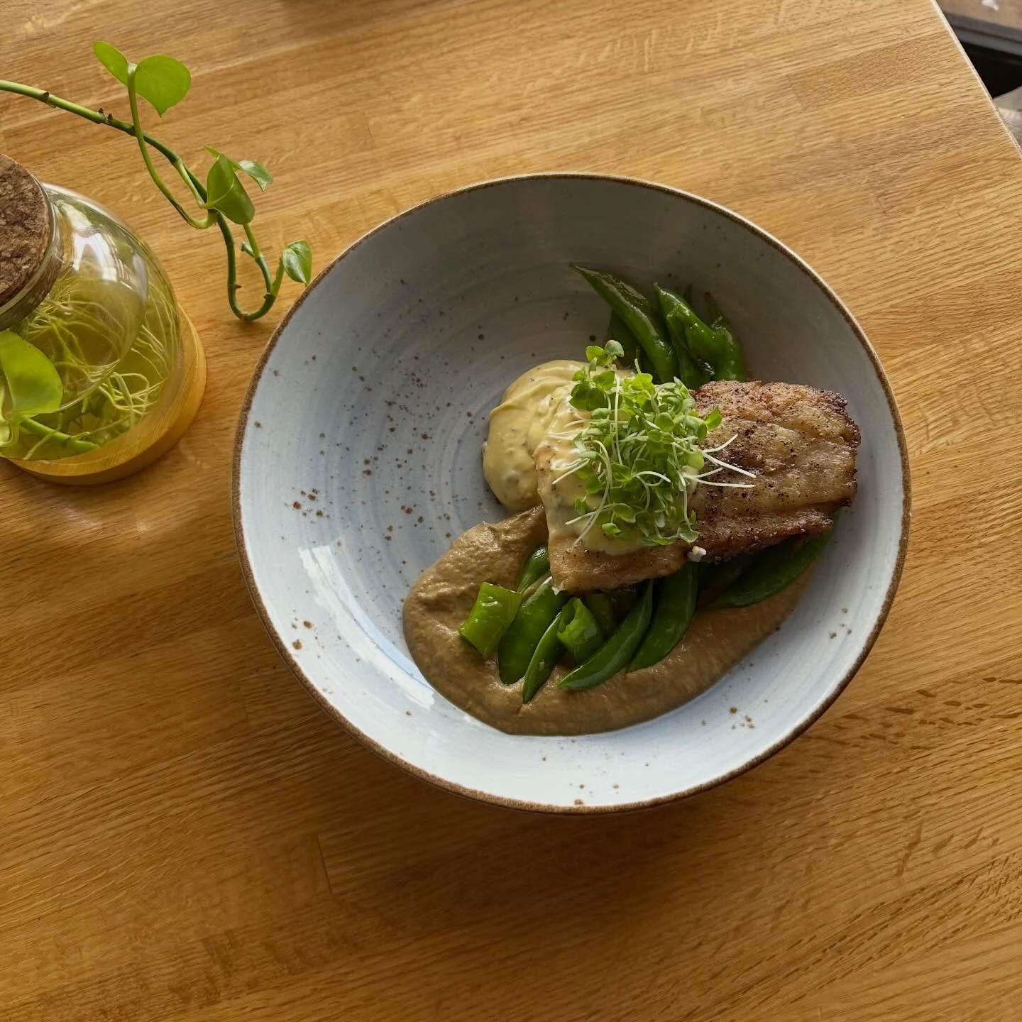 New spring catch- miso mushroom puree, saut&eacute;ed snap peas, Italian long hots, lemon thyme hollandaise, and micro basil 🌼