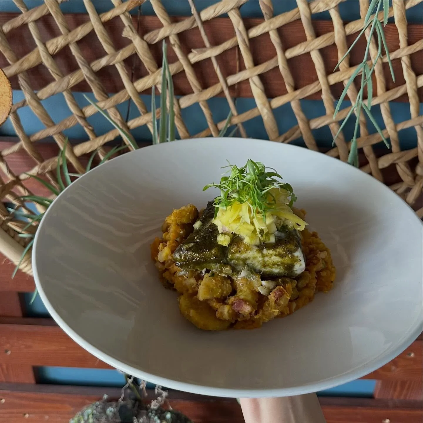 Come and enjoy our new fresh catch- jerk rubbed fresh fish, sweet potato plantain mofongo, pineapple salsa, and pickled mango.