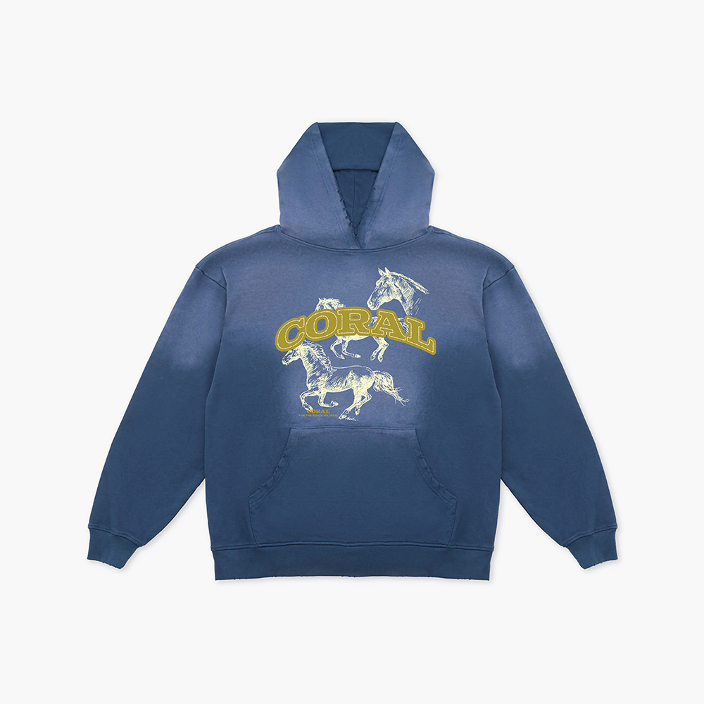 HORSES DON'T STOP PULLOVER HOODIE