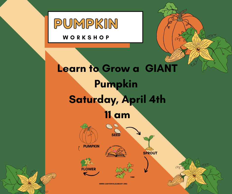 How to Grow a Giant Pumpkin!