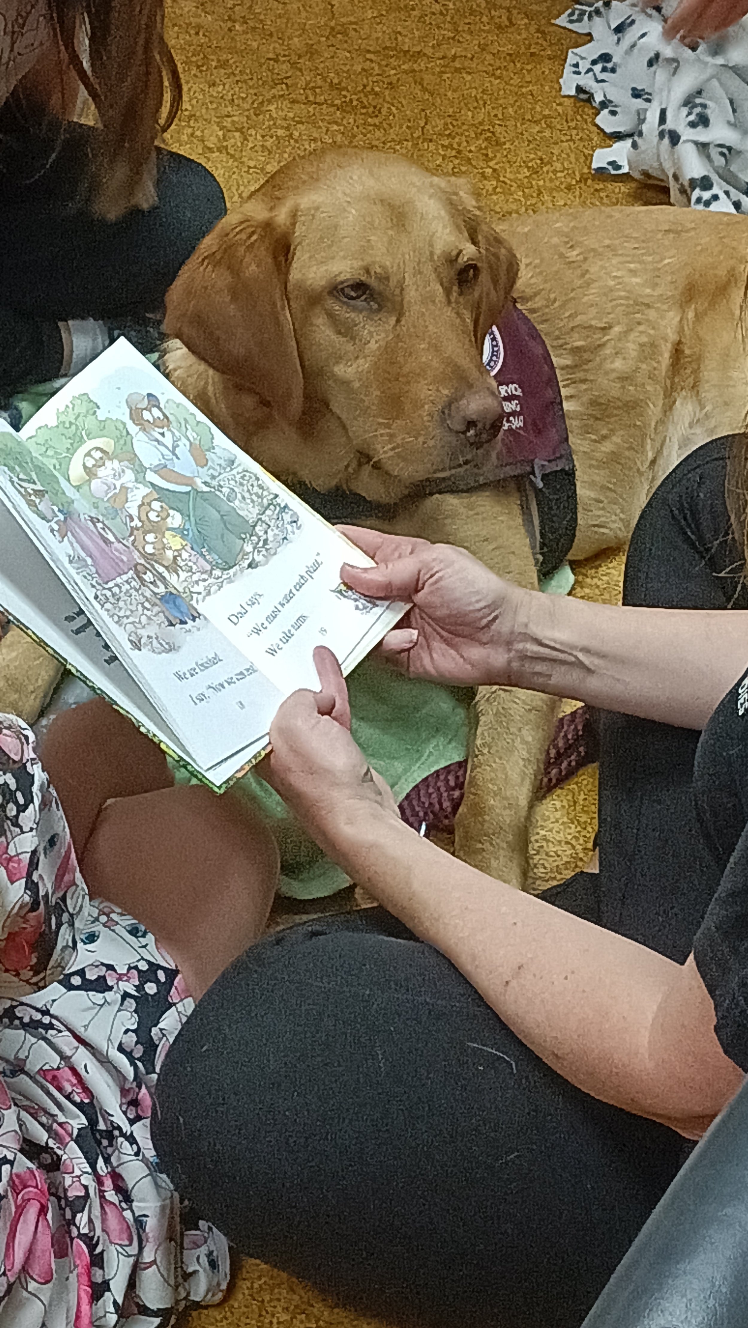 Dog Doris Reading.jpg