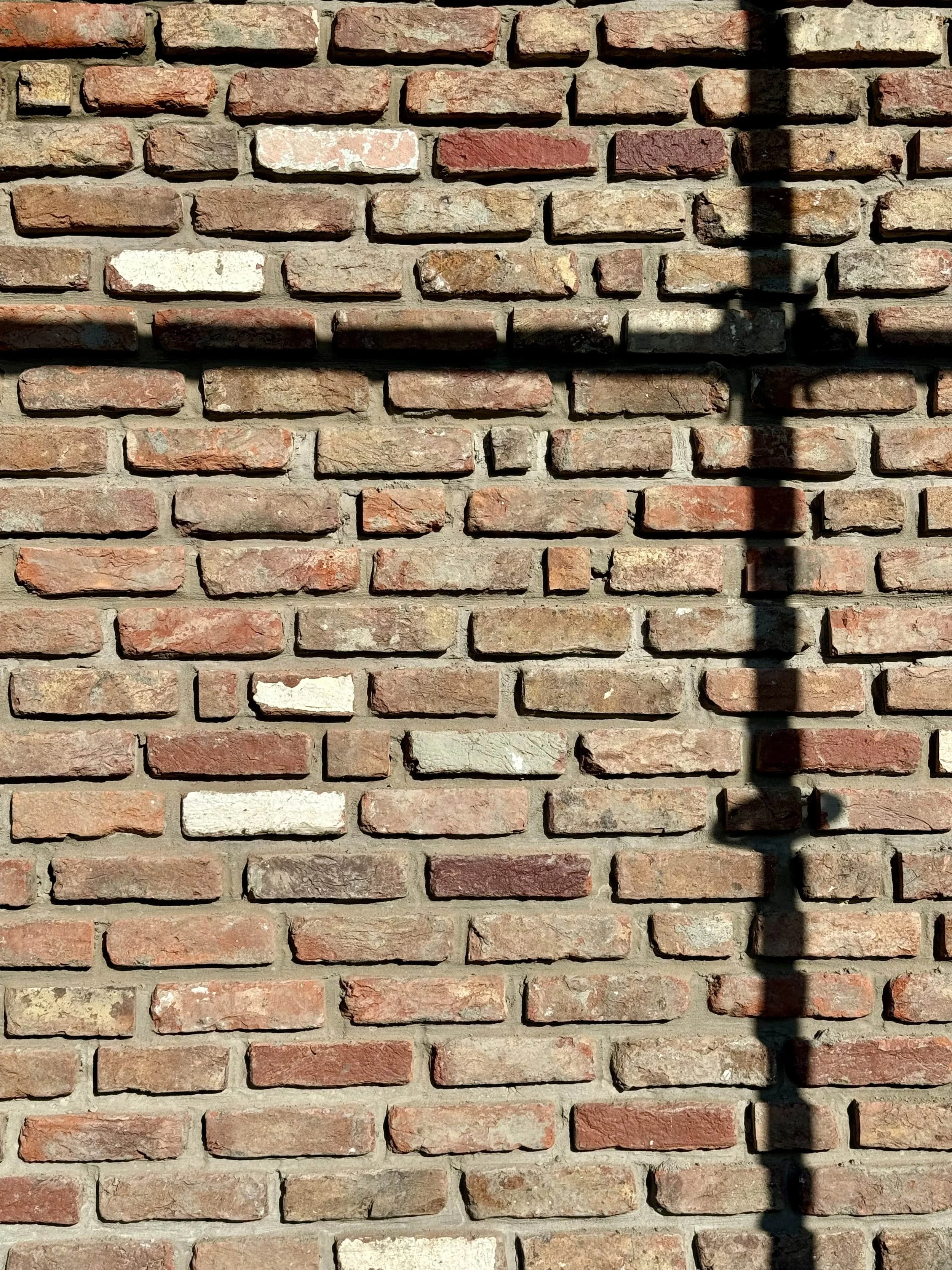 Close-up of a brick wall with a shadow of a pipe.