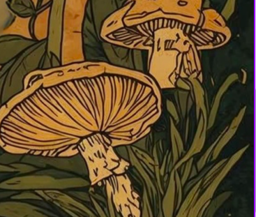 Screen Shot 2026-01-07 at 10.17.34 AM.png