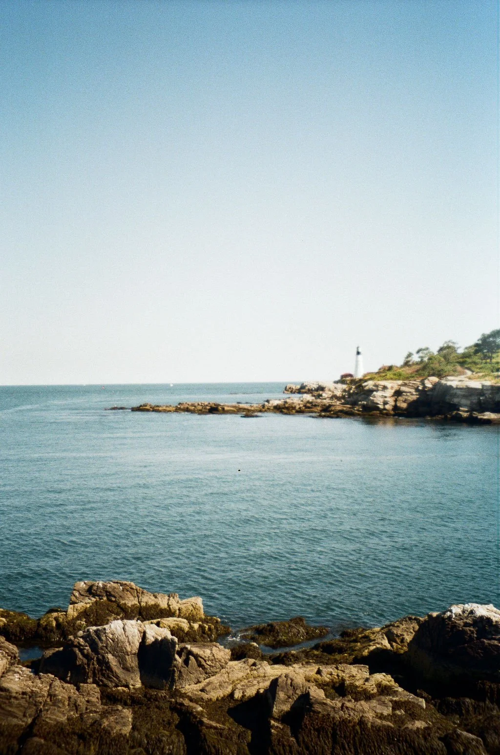 Allison & Alex_0148.jpg