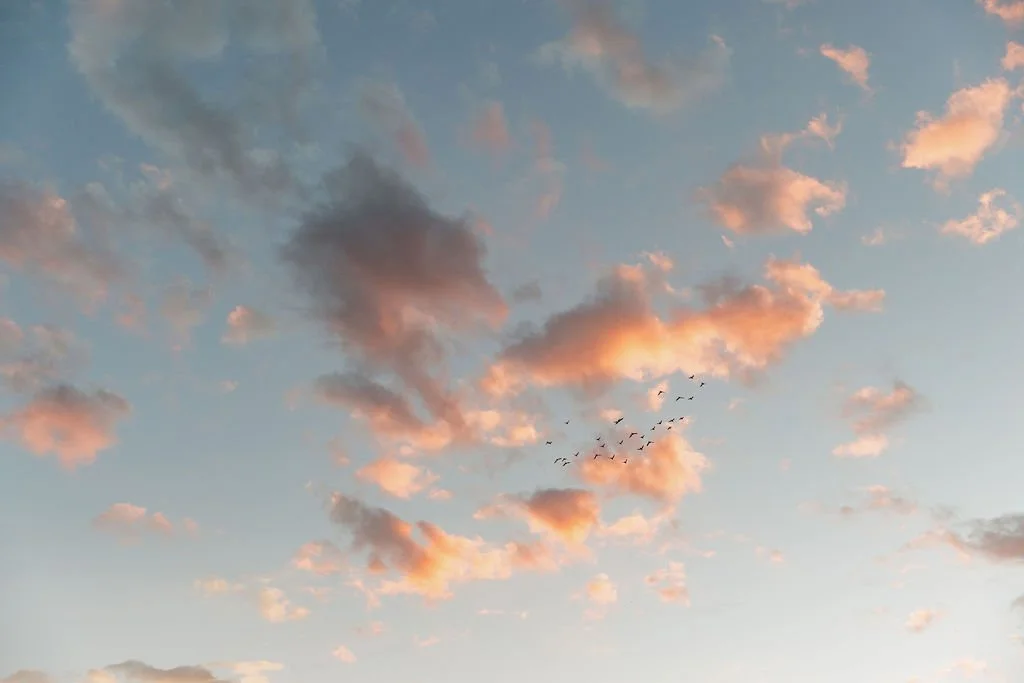 Jessica & Jacob_0188.jpg