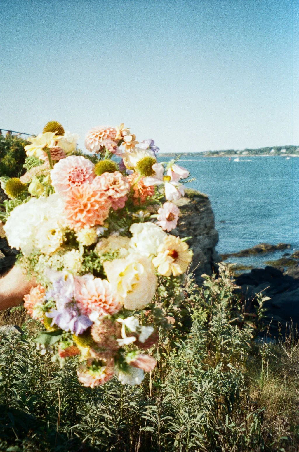 Allison & Alex_0321.jpg