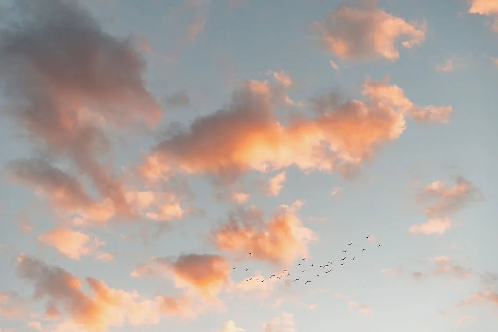 Jessica & Jacob_0189.jpg