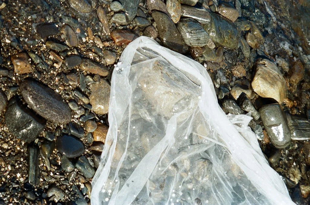 Allison & Alex_0308.jpg