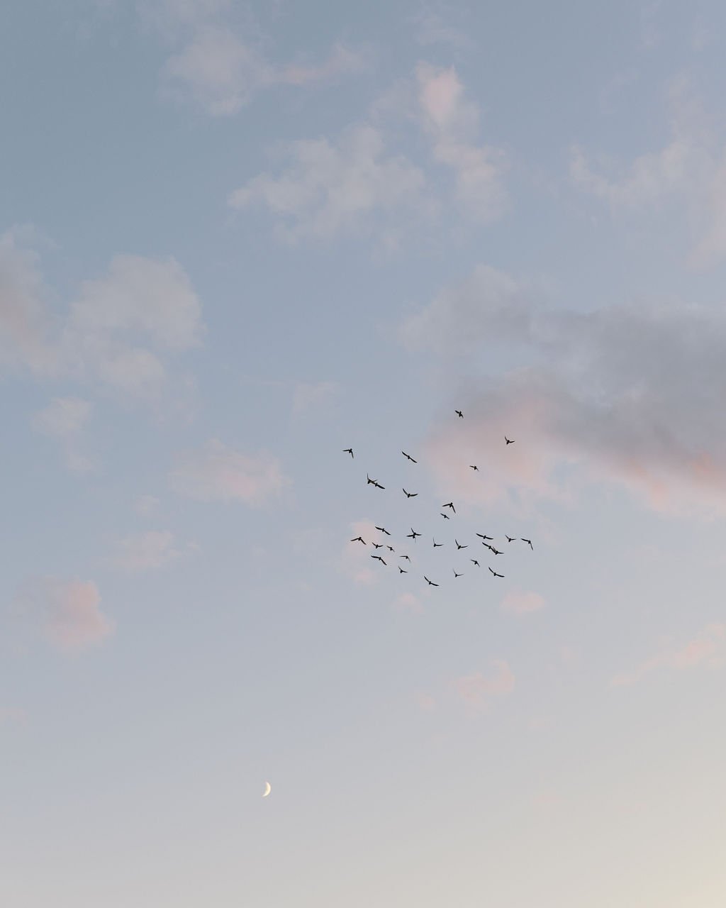 Jessica & Jacob_0221.jpg